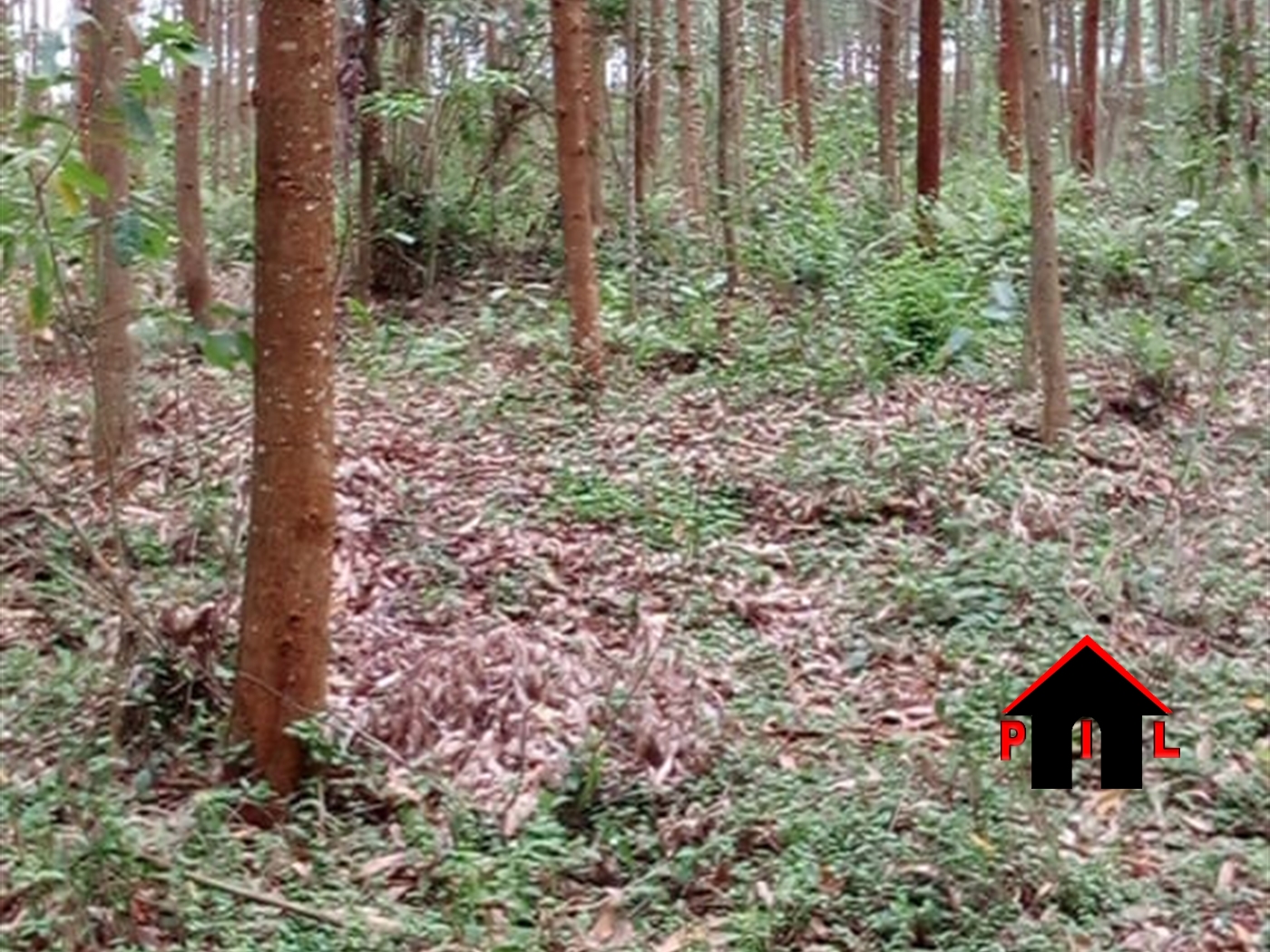 Commercial Land for sale in Kasanjje Wakiso