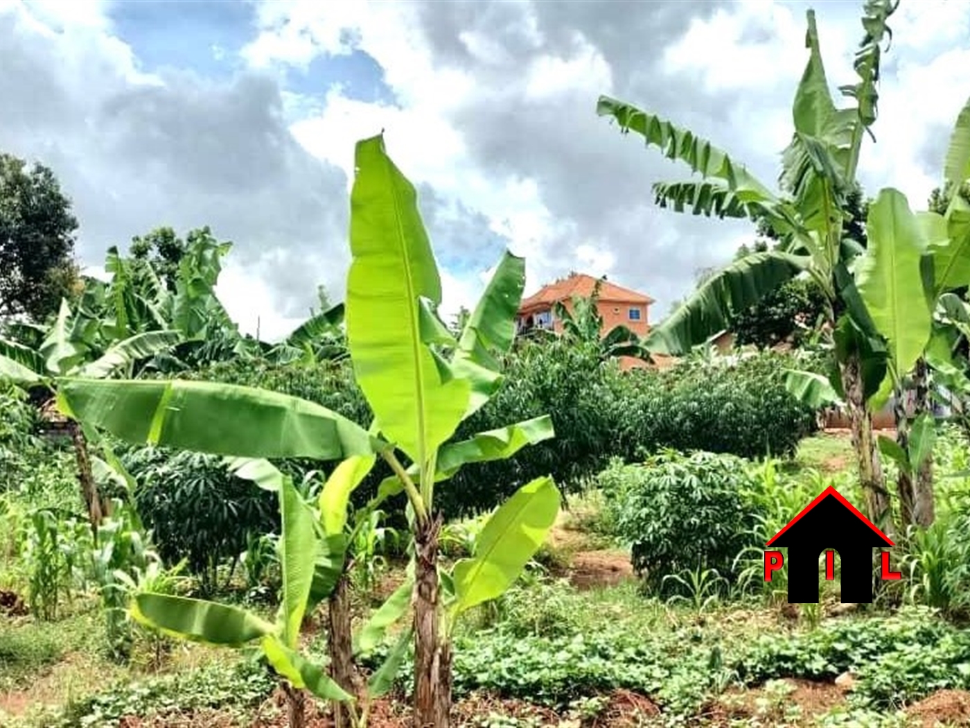 Residential Land for sale in Muyenga Kampala