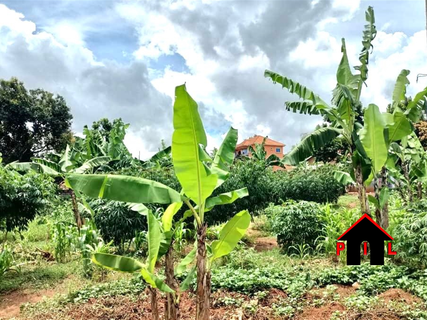 Residential Land for sale in Muyenga Kampala