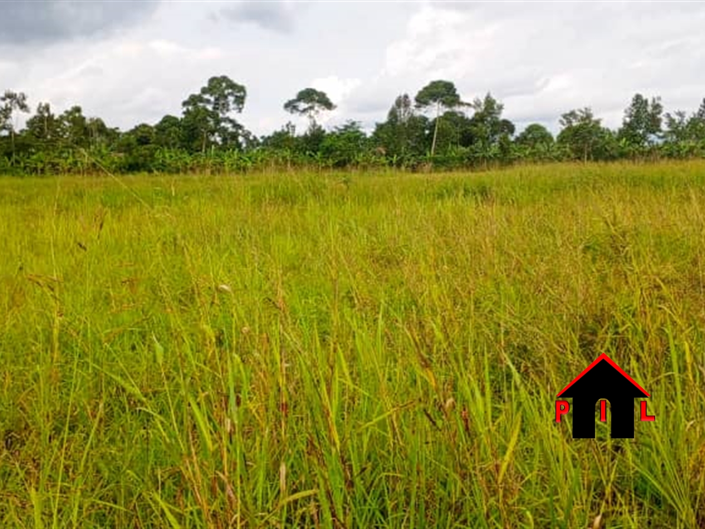 Commercial Land for sale in Kanyanda Wakiso