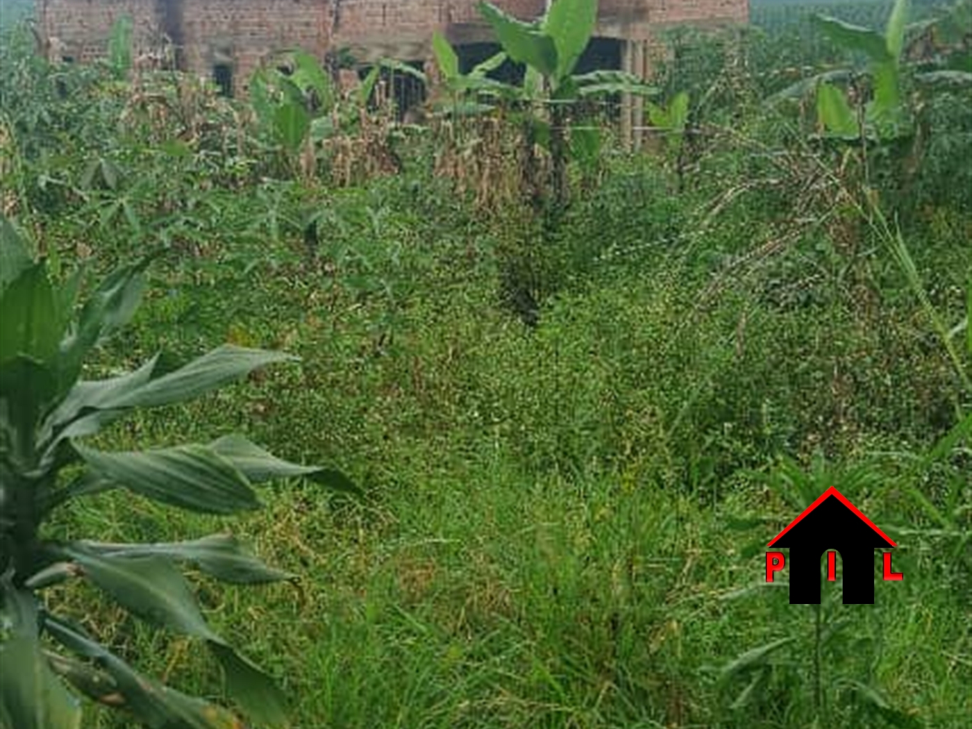 Residential Land for sale in Bujuuko Mpigi