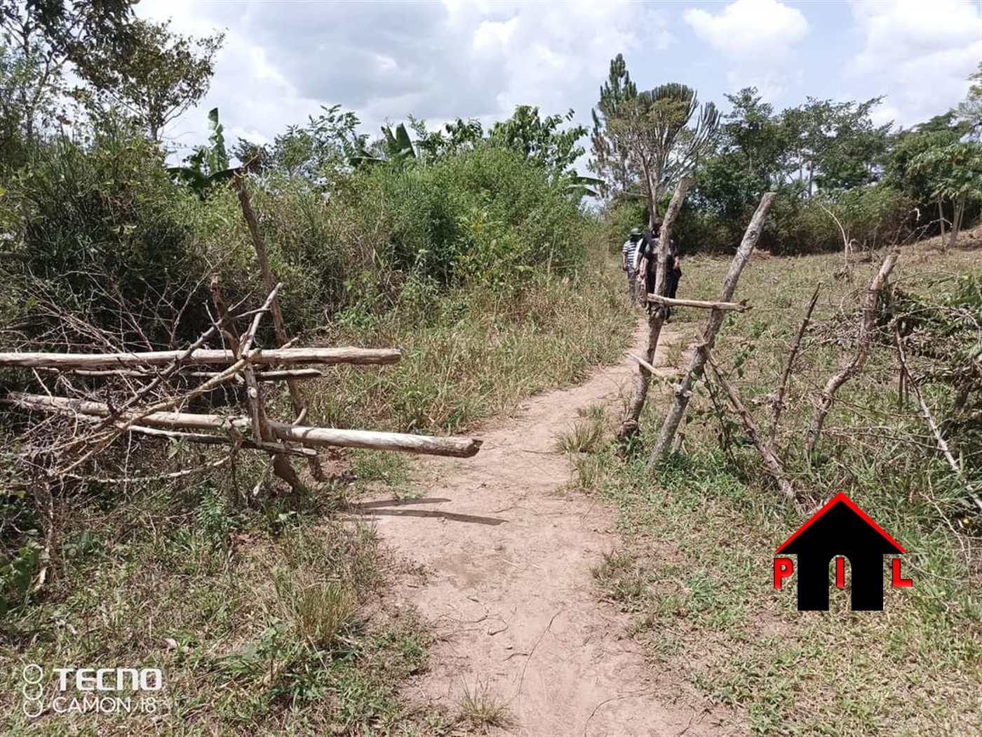 Farm for sale in Katuugo Nakasongola