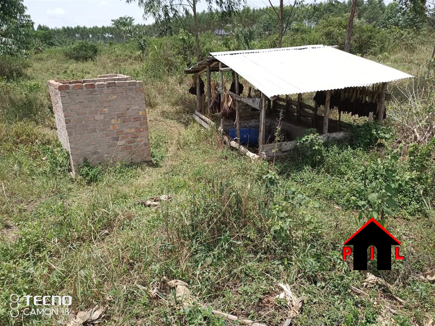 Farm for sale in Katuugo Nakasongola