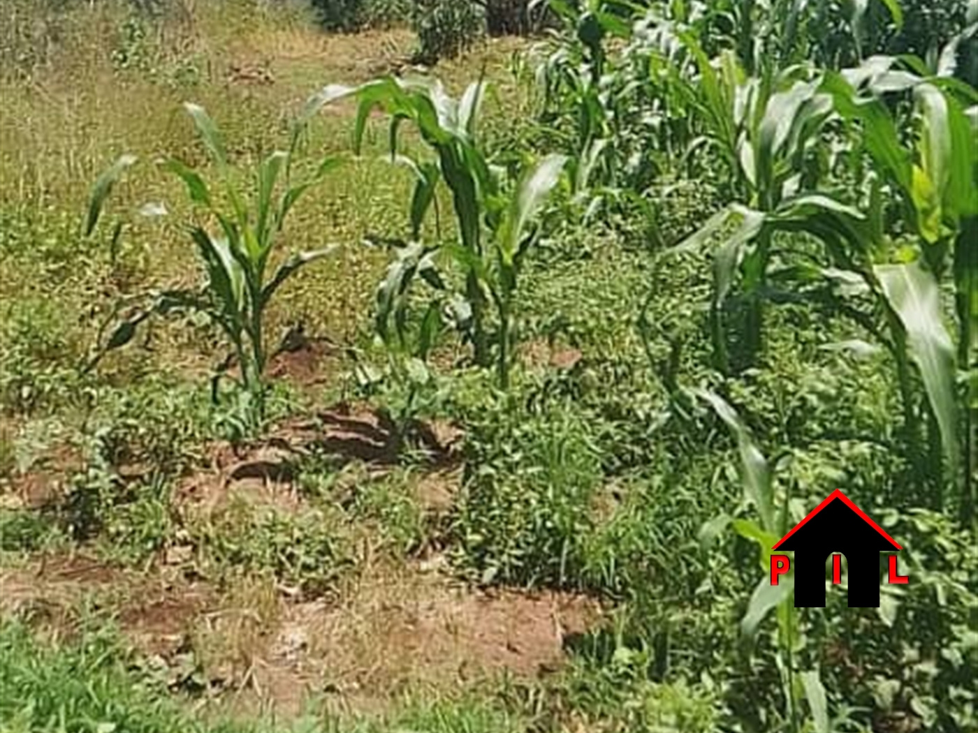 Commercial Land for sale in Kawuku Wakiso