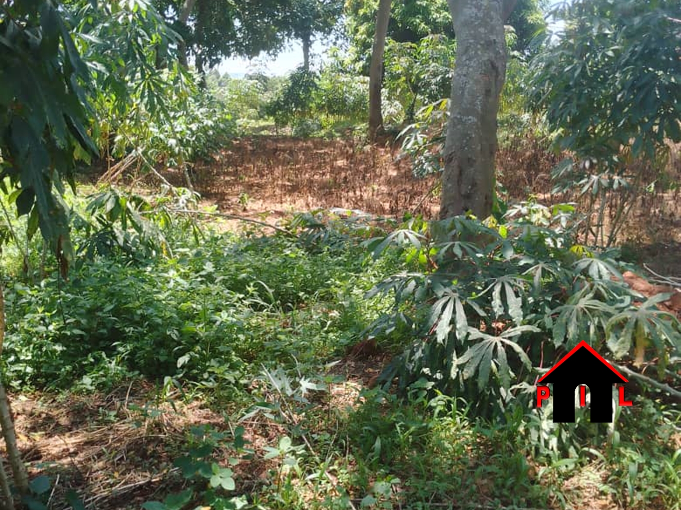 Commercial Land for sale in Kawuku Wakiso