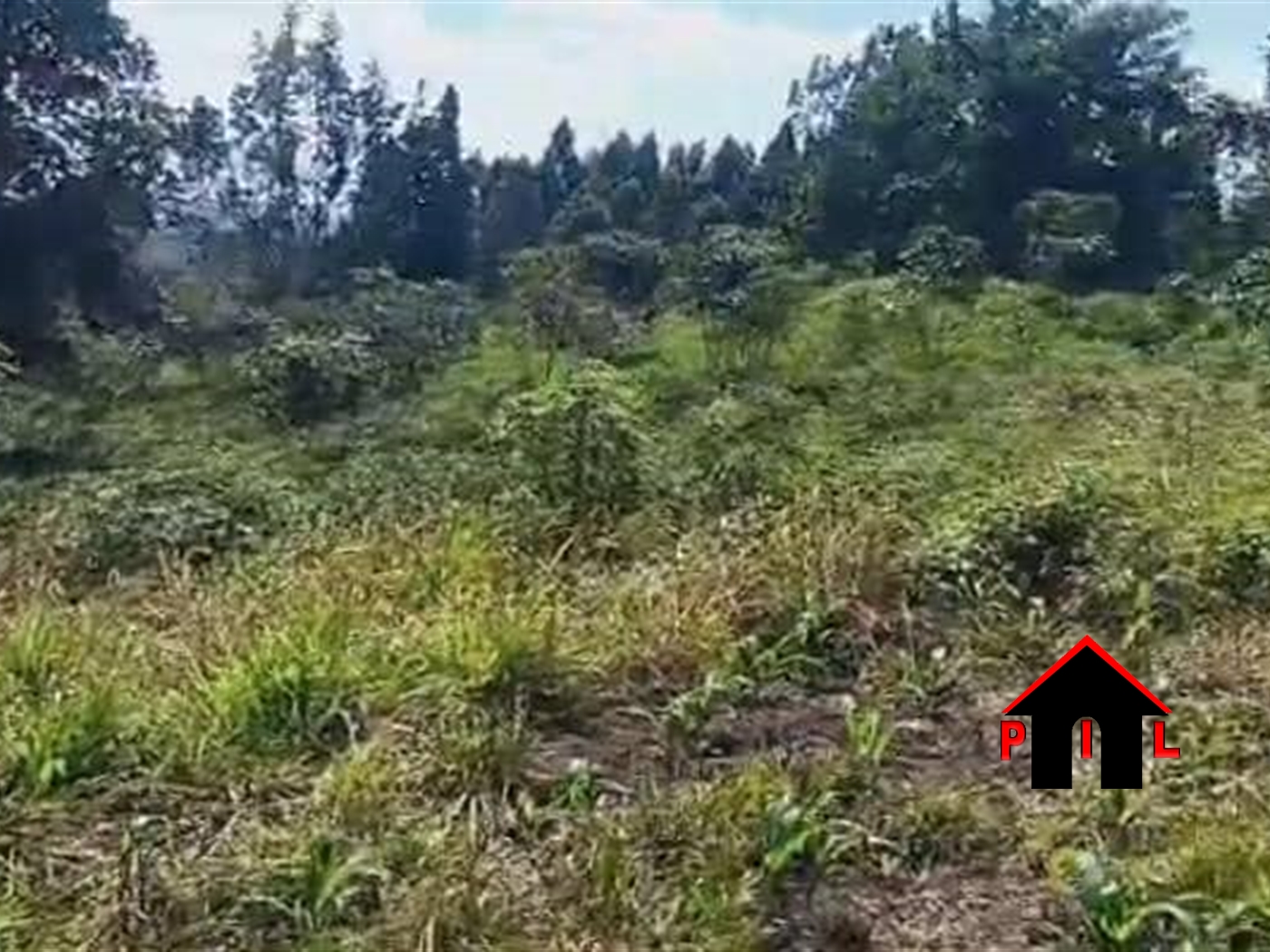 Commercial Land for sale in Kabembe Mukono