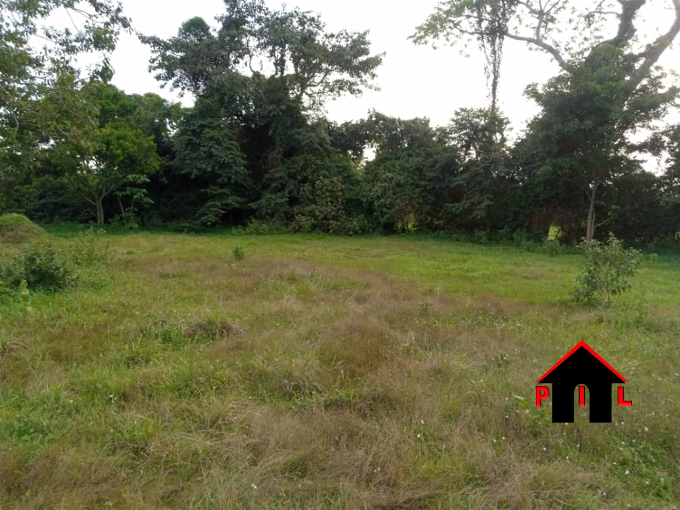 Farm for sale in Kizilu Mukono