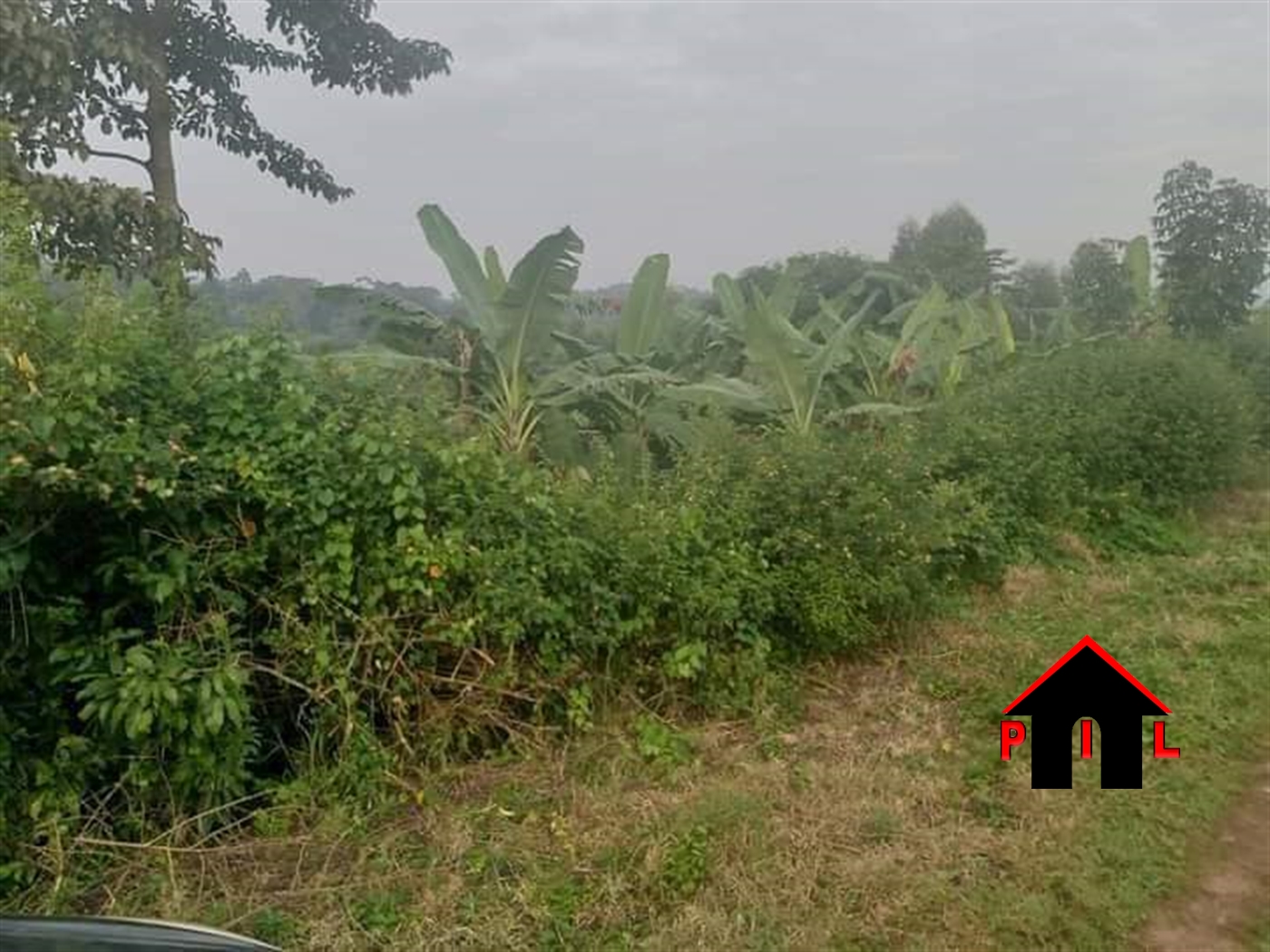 Residential Land for sale in Buyego Mayuge