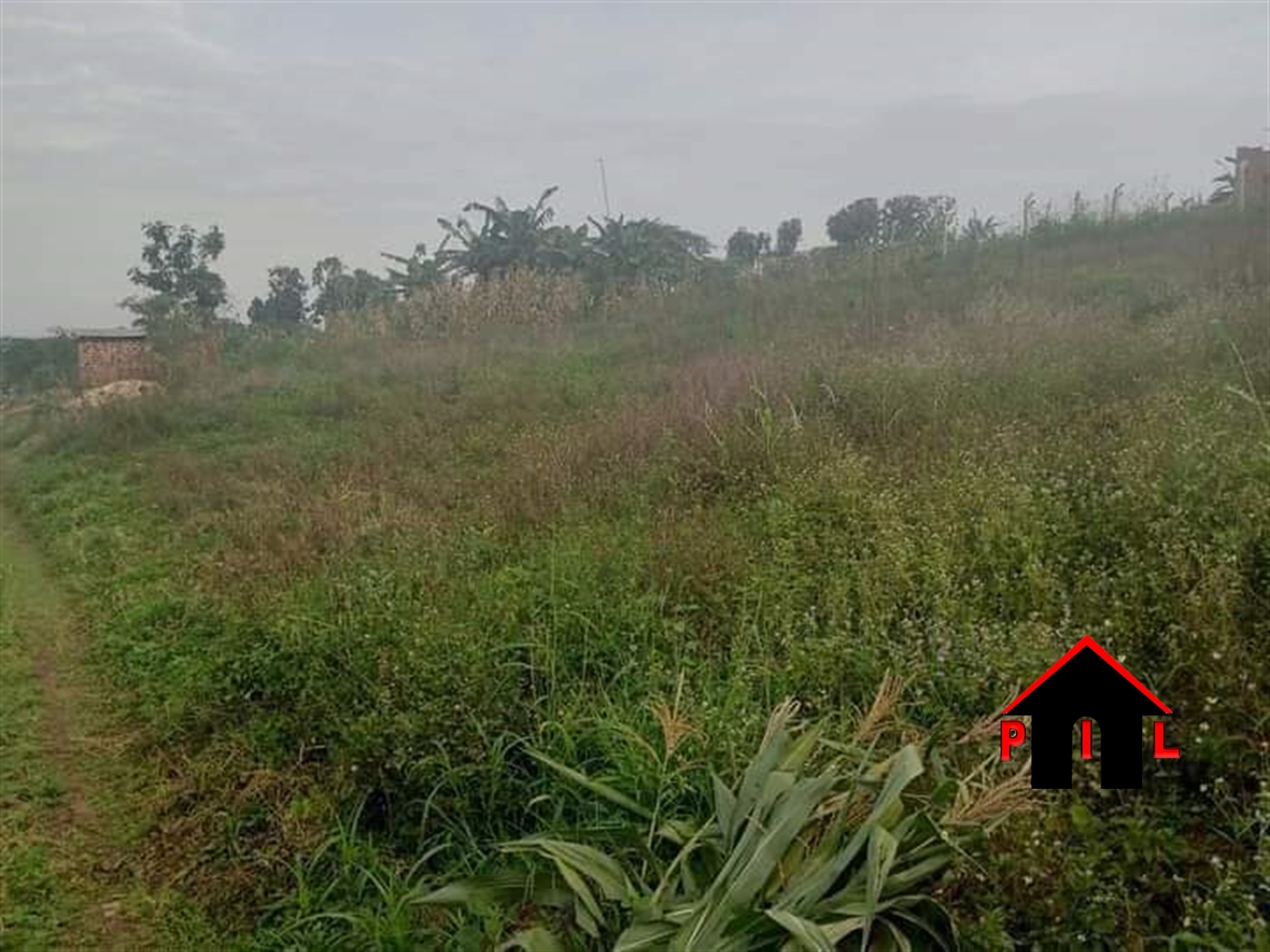 Residential Land for sale in Buyego Mayuge