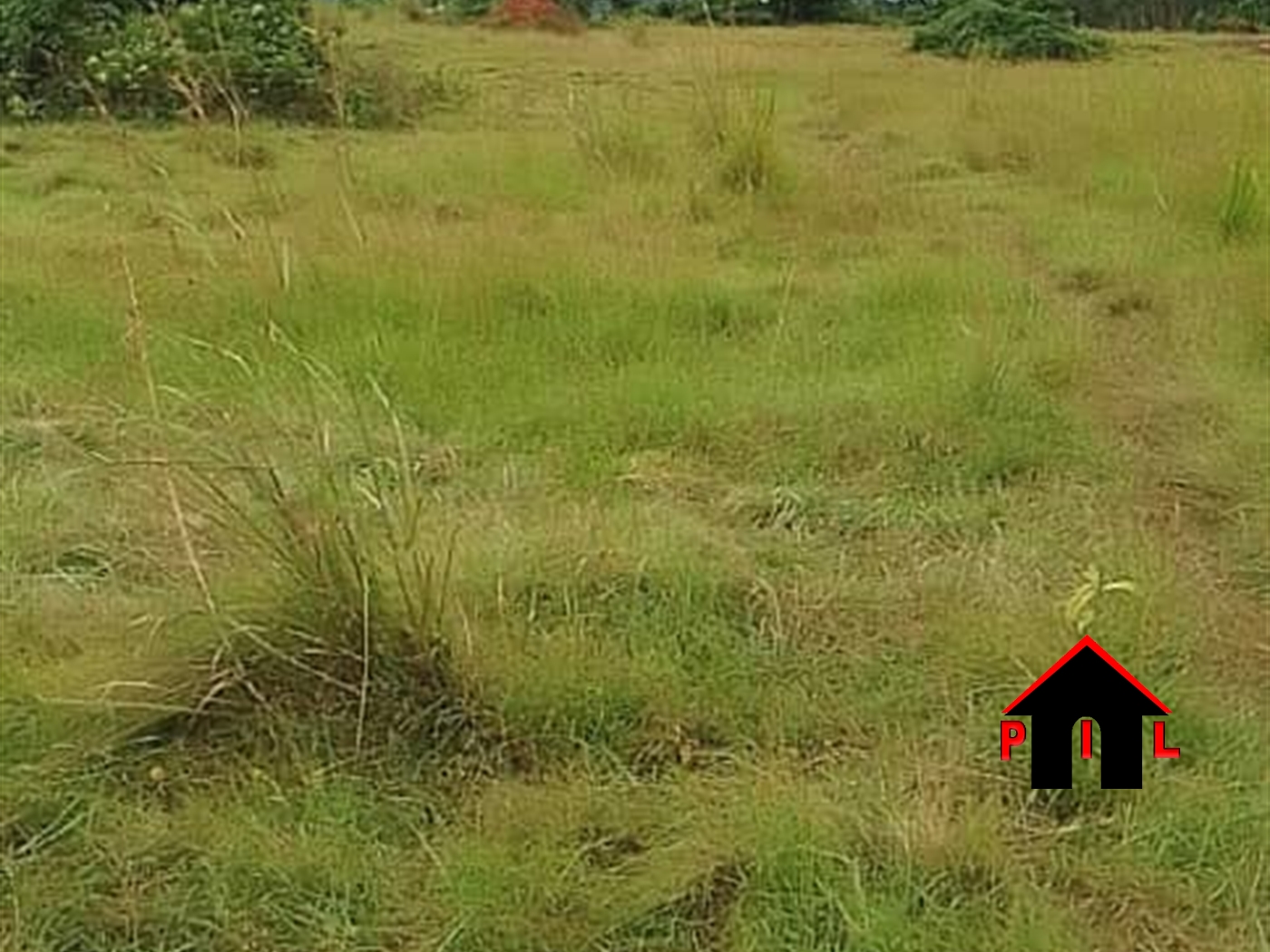 Farm for sale in Kasanjje Wakiso