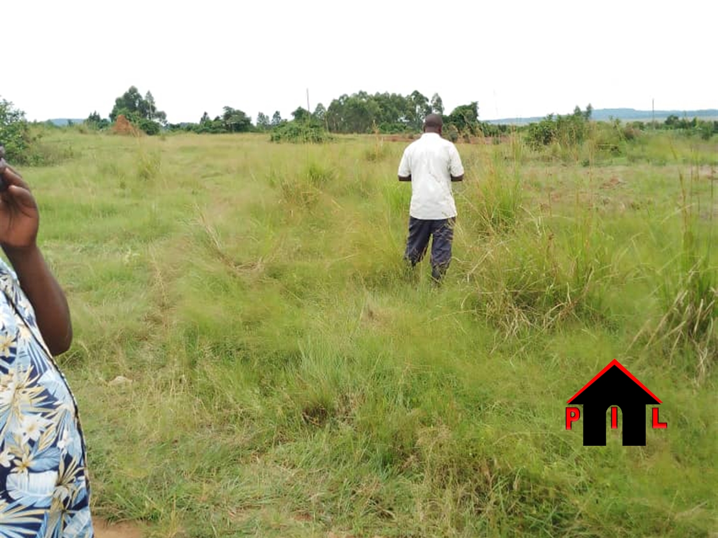 Farm for sale in Kasanjje Wakiso