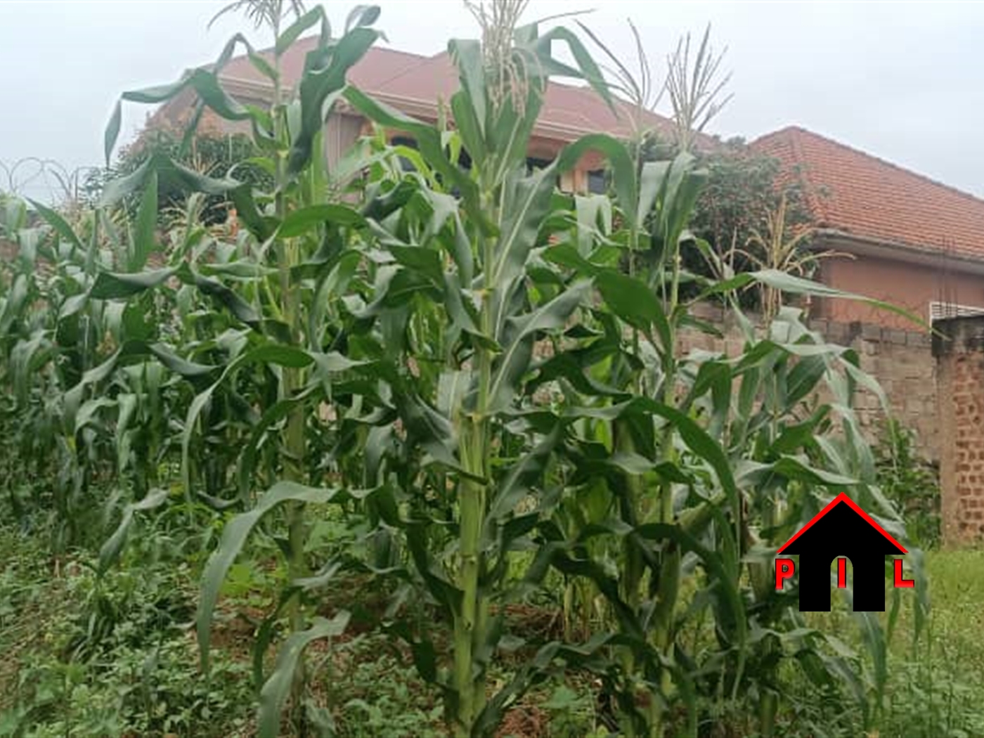 Shell House for sale in Naalya Wakiso