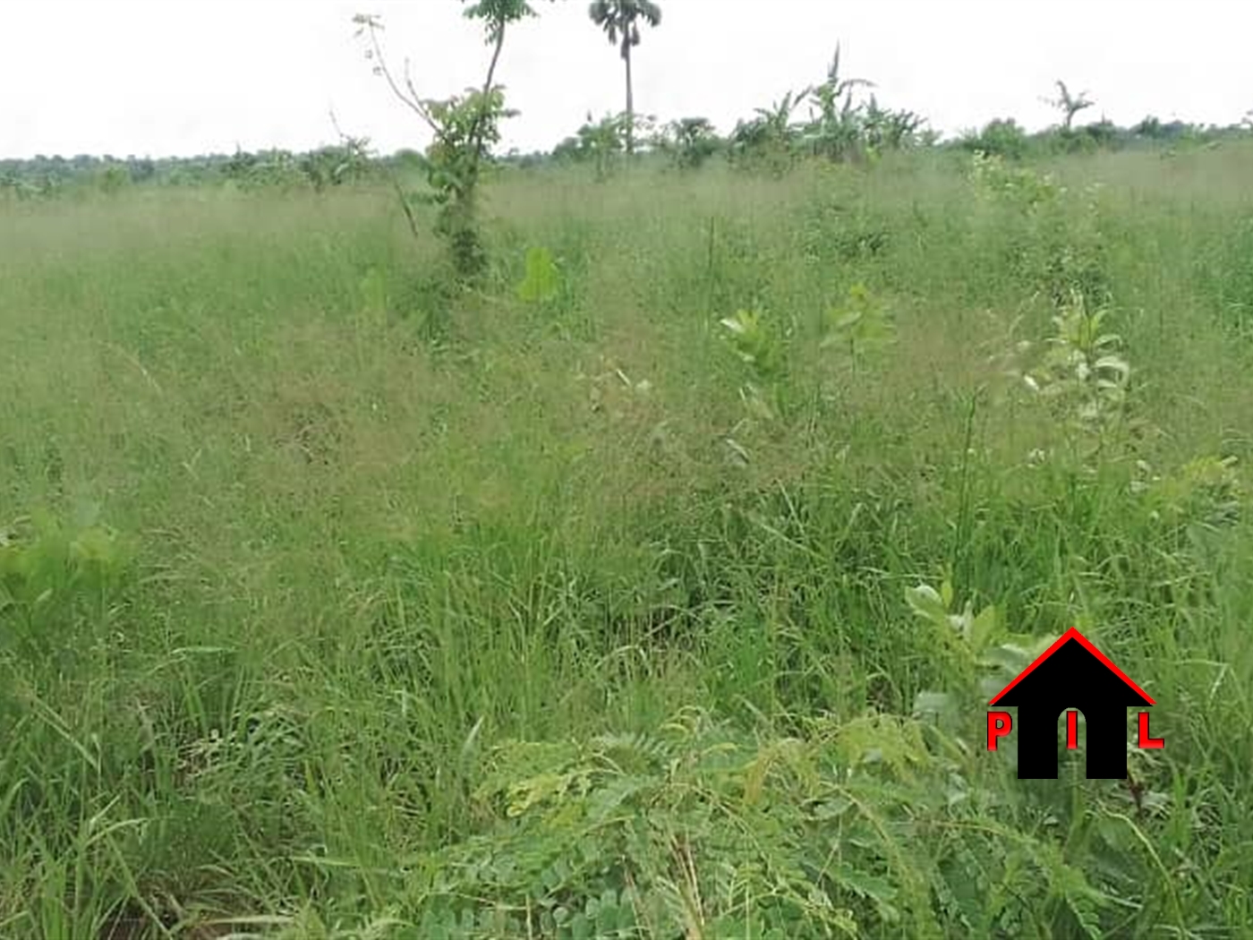 Agricultural Land for sale in Kikyuusa Luweero