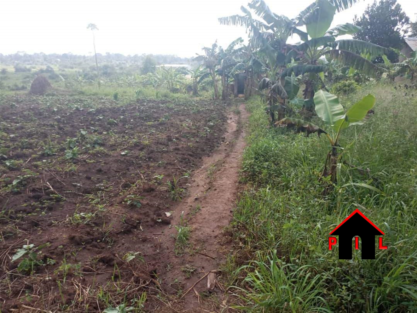 Agricultural Land for sale in Zirobwee Luweero