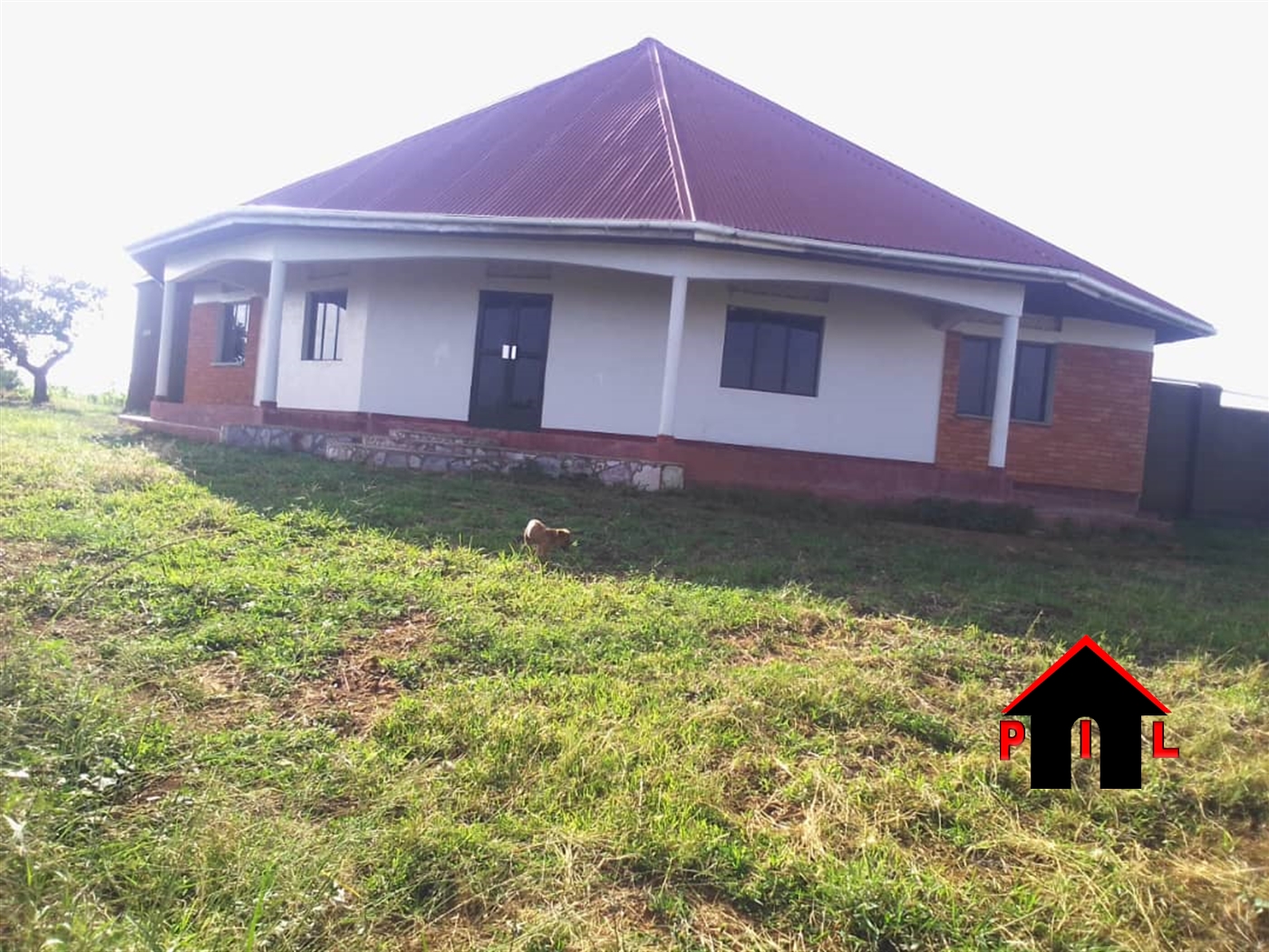 Commercial Land for sale in Lukaya Kalungu