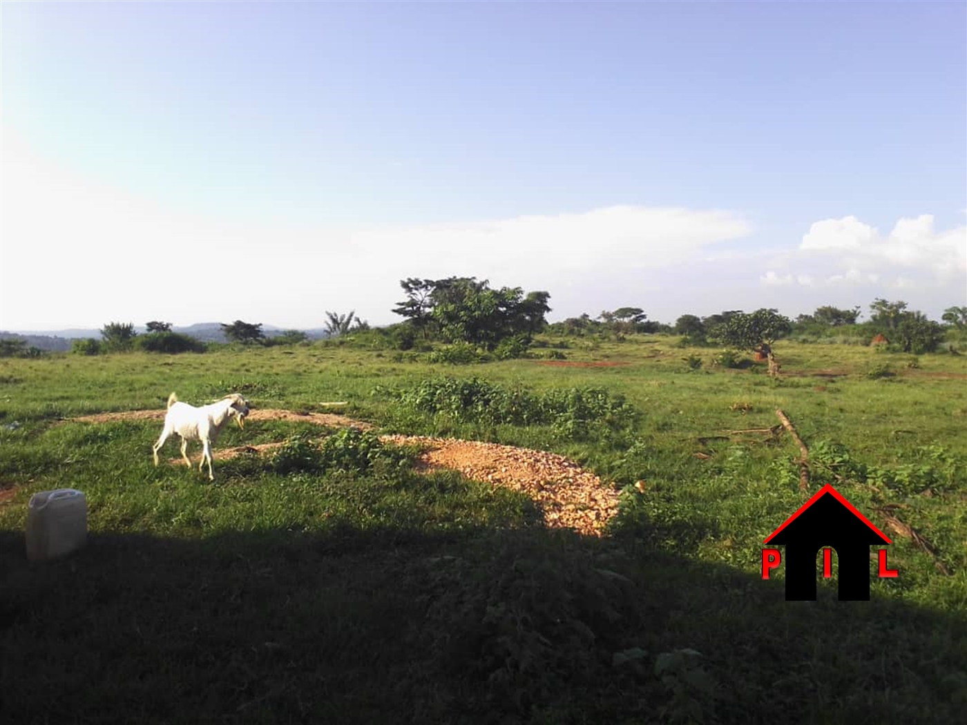 Commercial Land for sale in Lukaya Kalungu