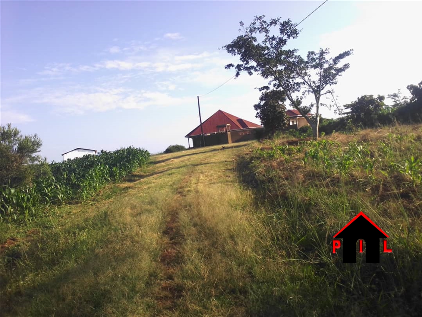 Commercial Land for sale in Lukaya Kalungu