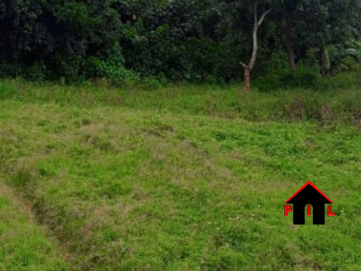 Commercial Land for sale in Zirobwee Luweero