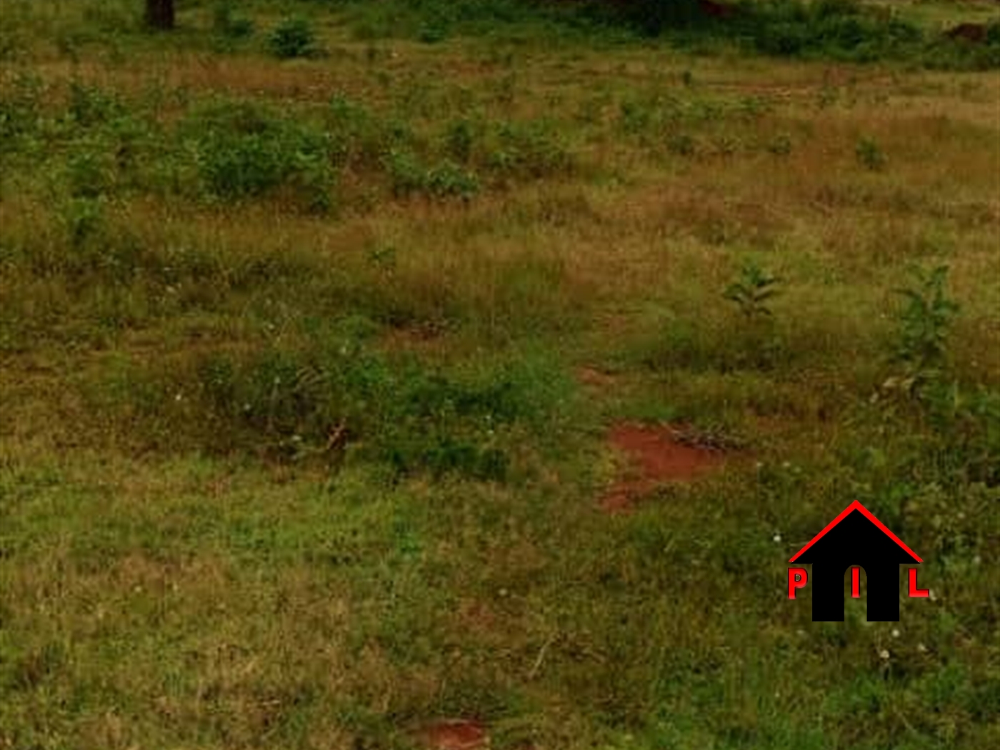 Commercial Land for sale in Zirobwee Luweero