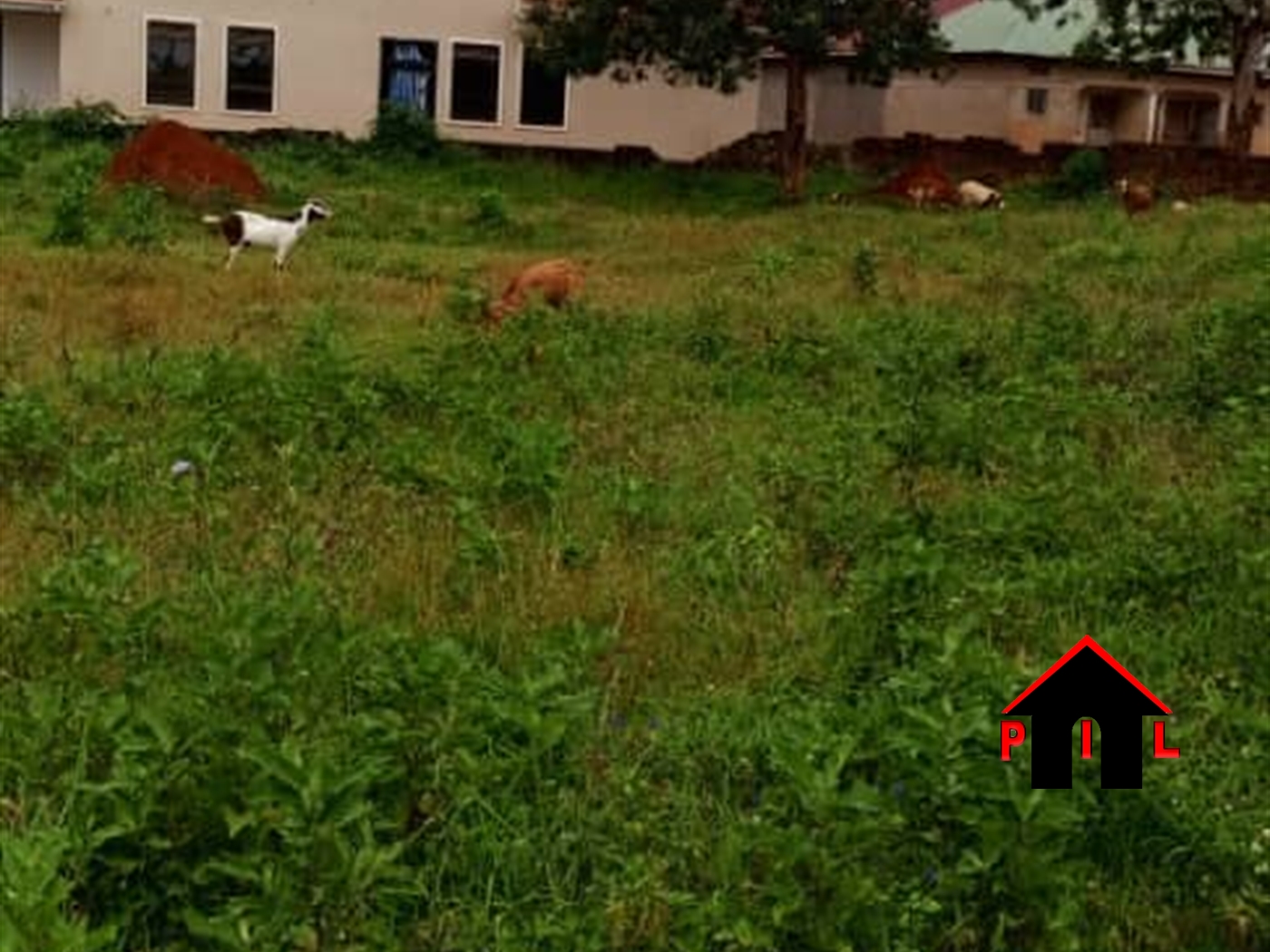 Commercial Land for sale in Zirobwee Luweero