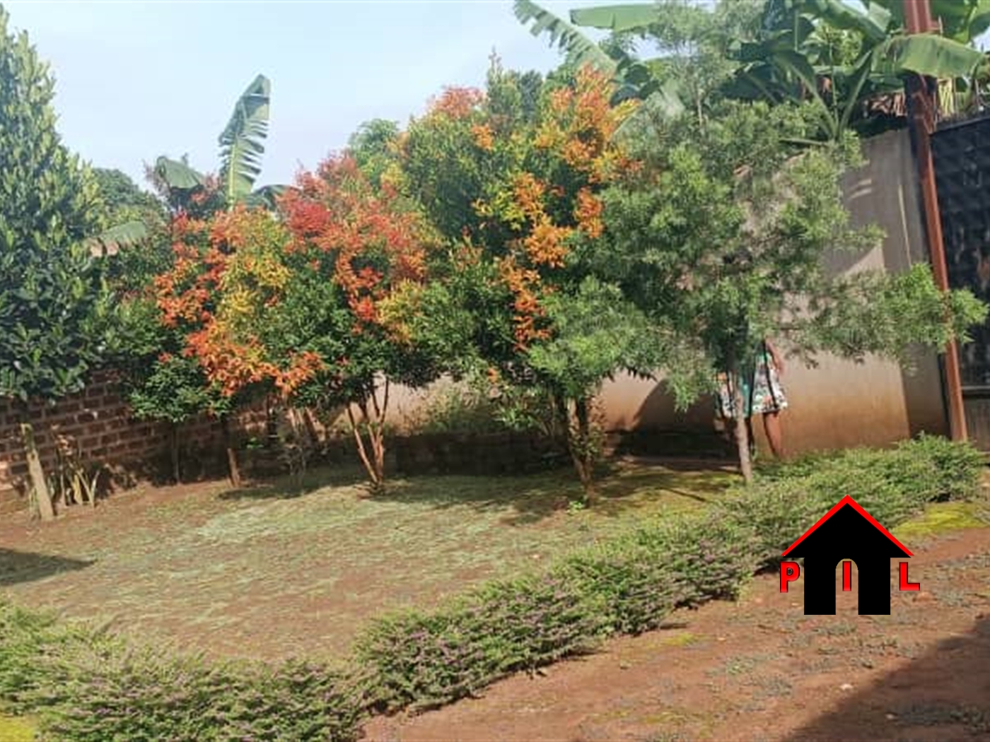 Bungalow for sale in Festino Mukono