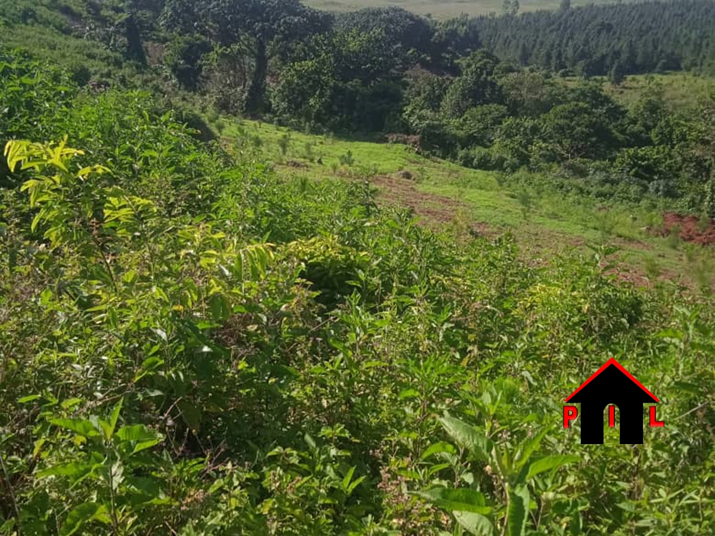 Agricultural Land for sale in Bukaya Buyikwe