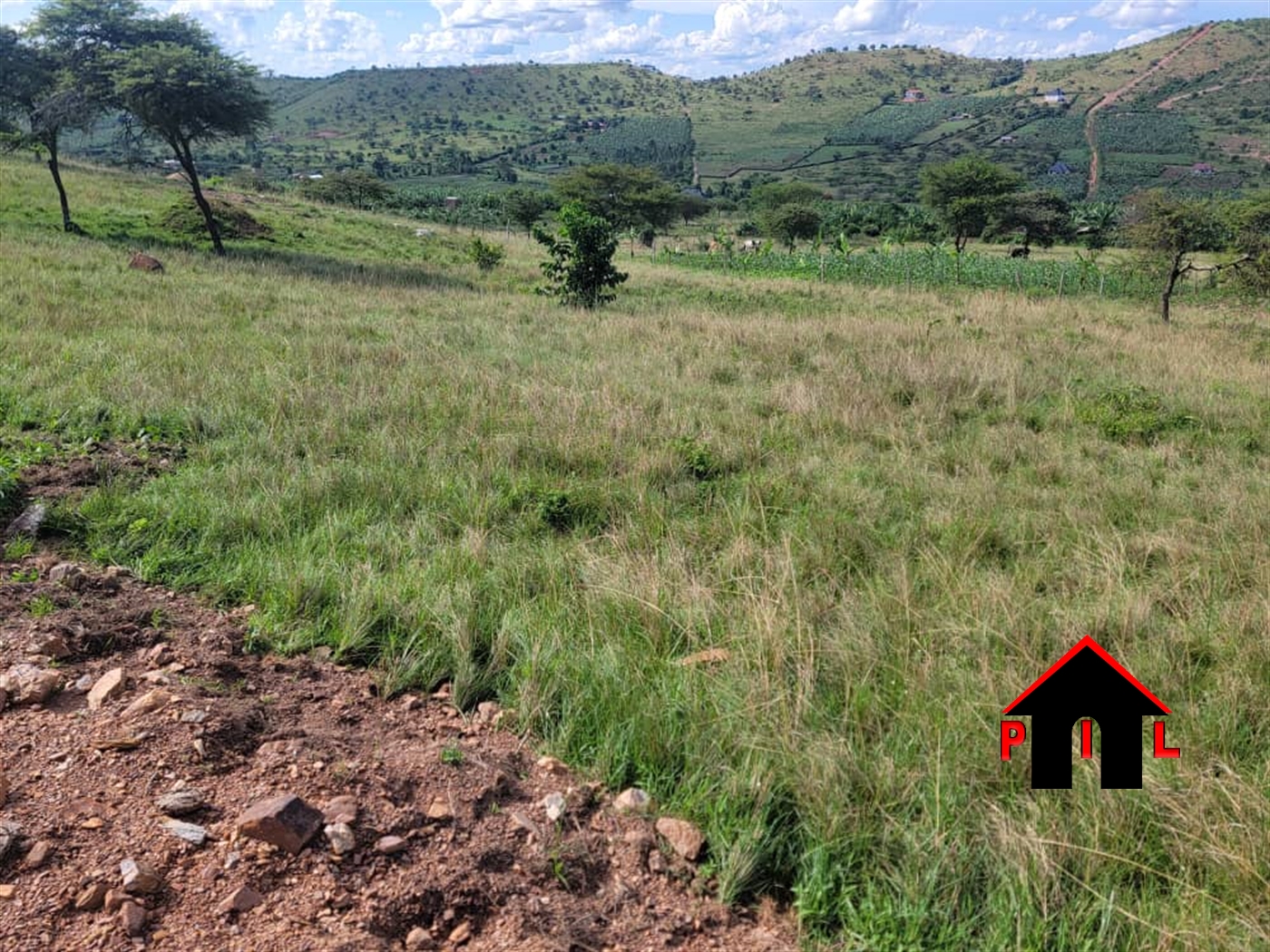 Commercial Land for sale in Rwenjeru Mbarara