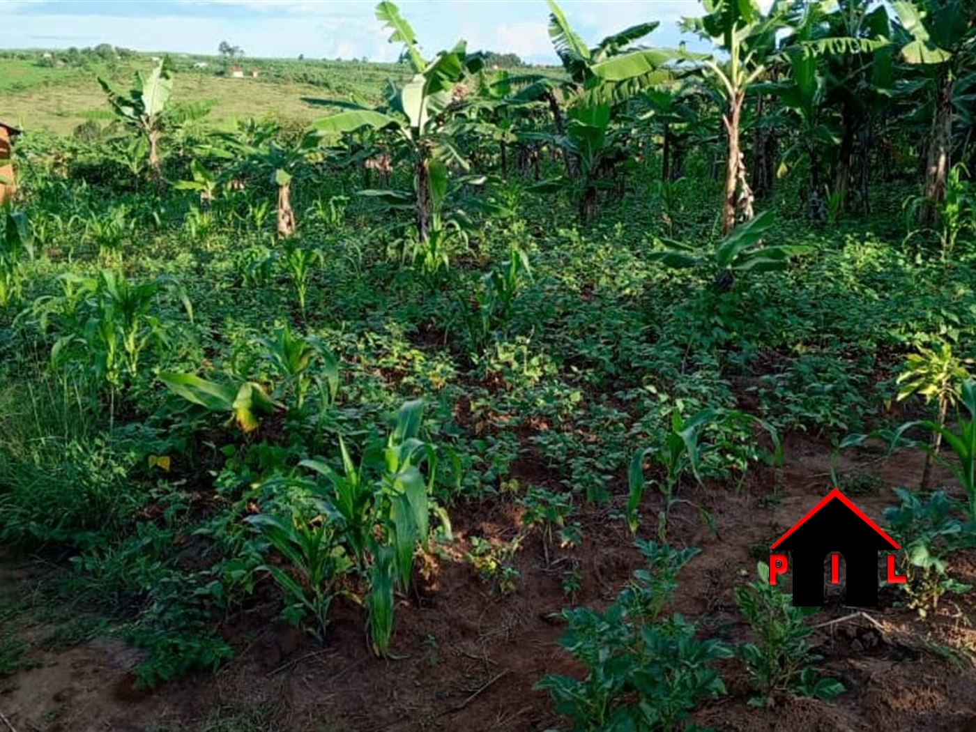 Residential Land for sale in Igyereka Mbarara