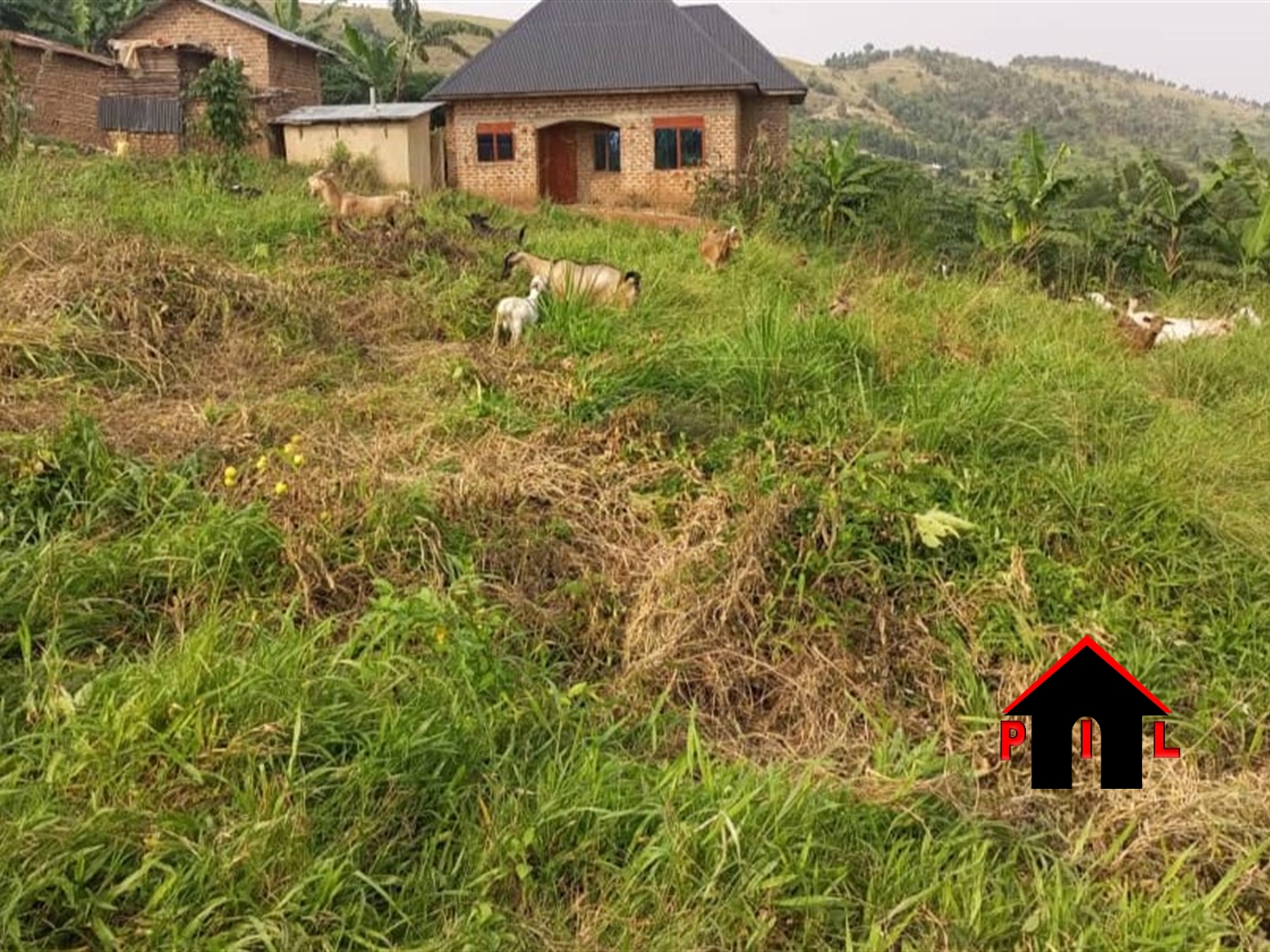 Commercial Land for sale in Kakaba Mbarara