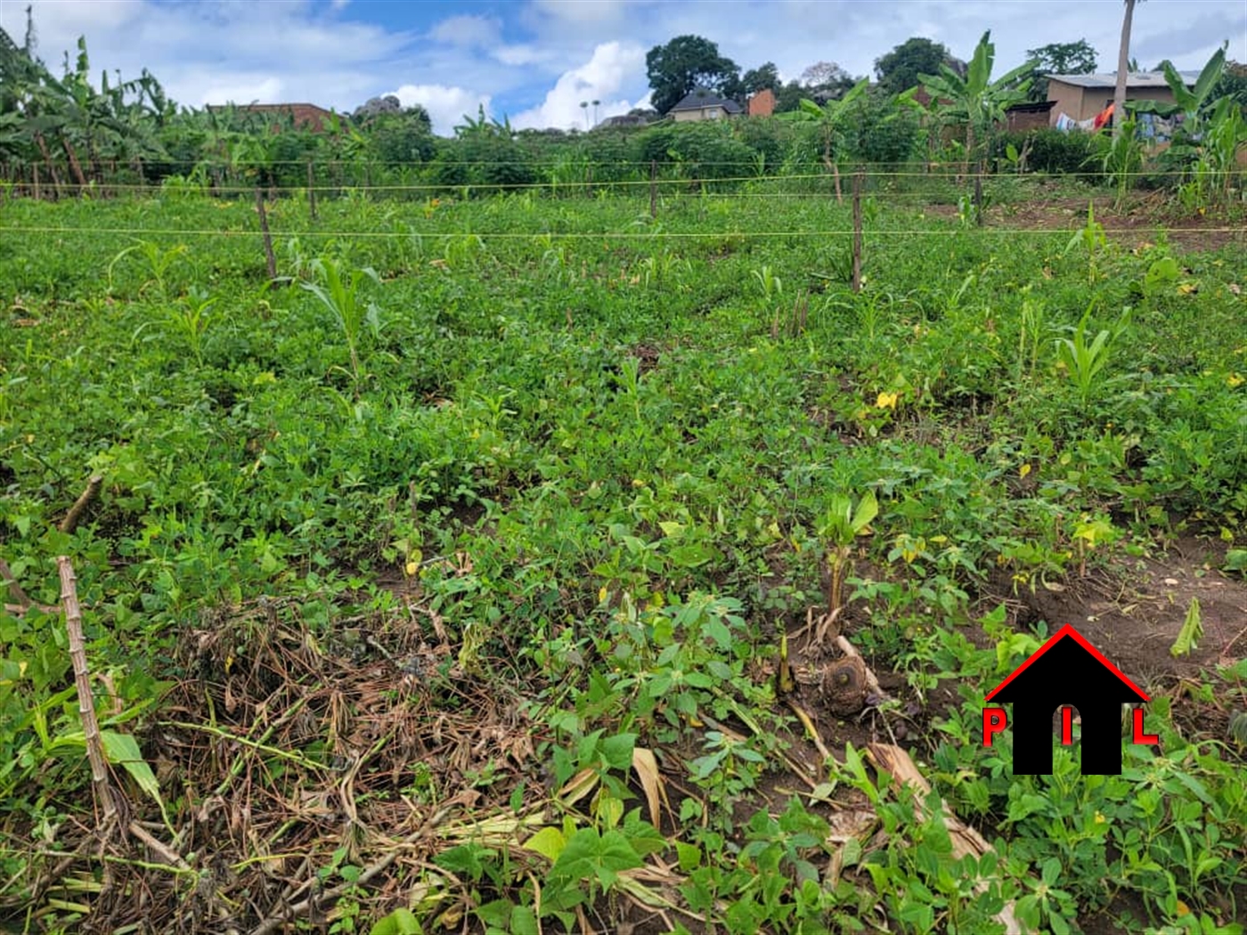 Residential Land for sale in Masha Mbarara