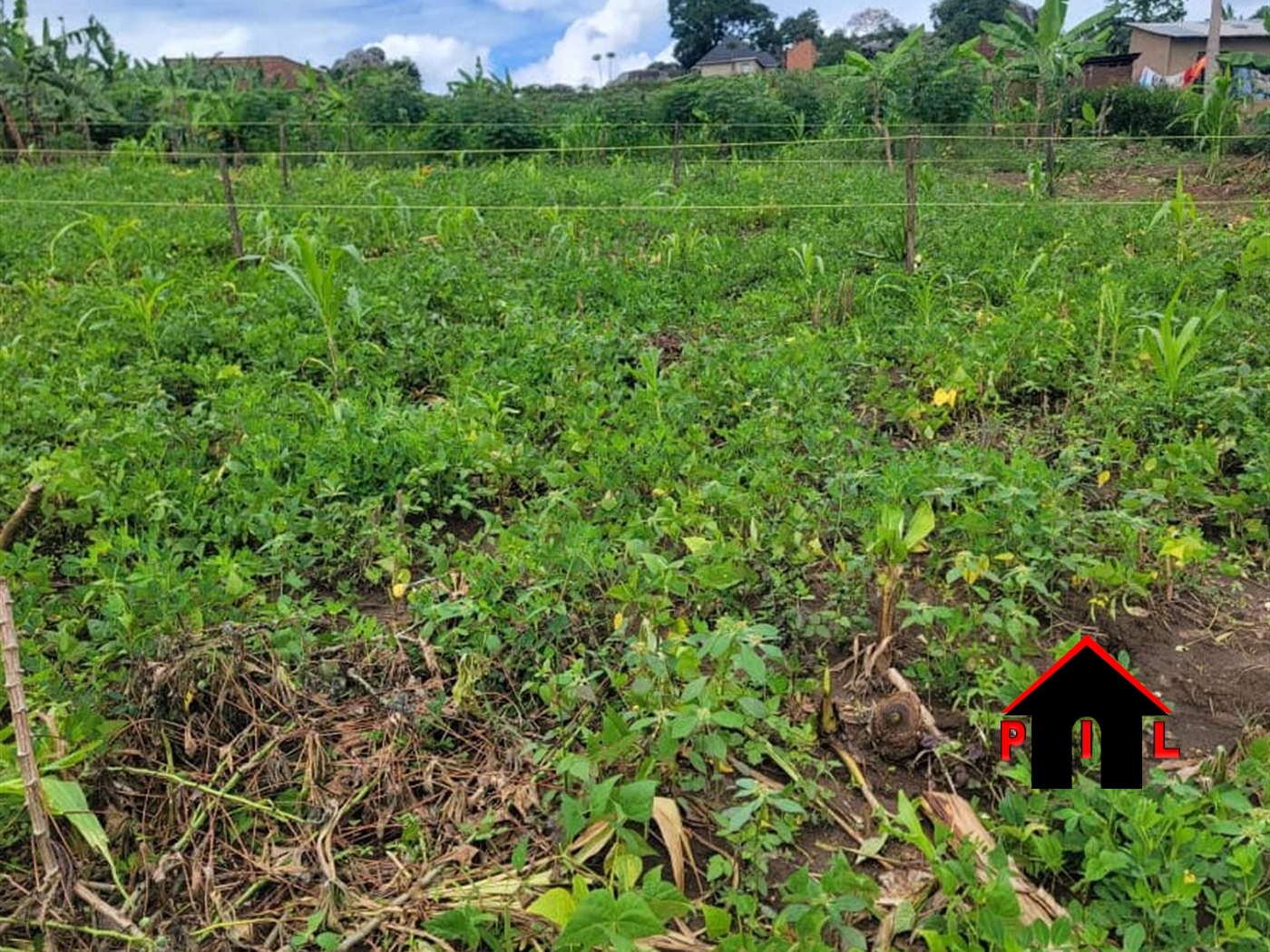 Residential Land for sale in Masha Mbarara