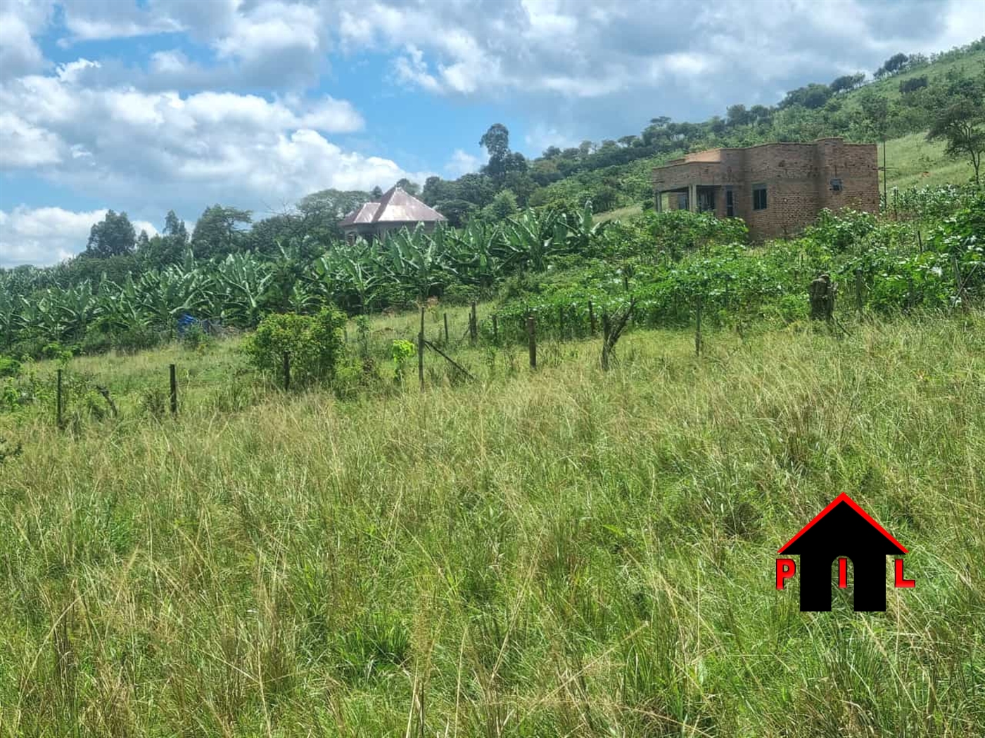 Agricultural Land for sale in Biharwe Mbarara