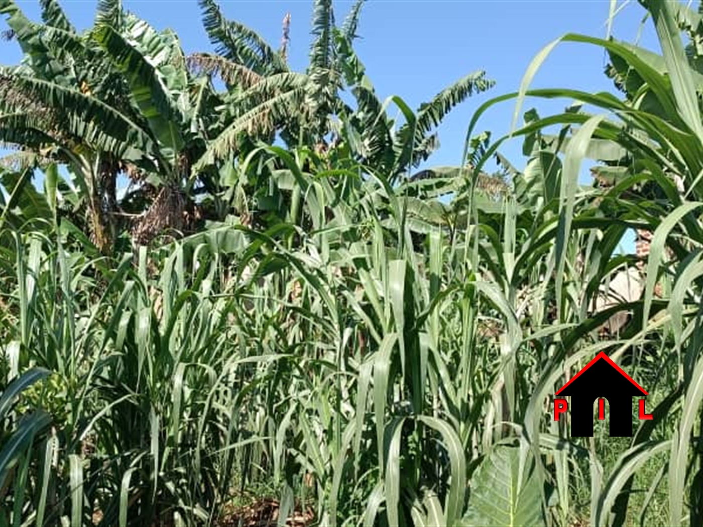 Residential Land for sale in Rukuuba Mbarara