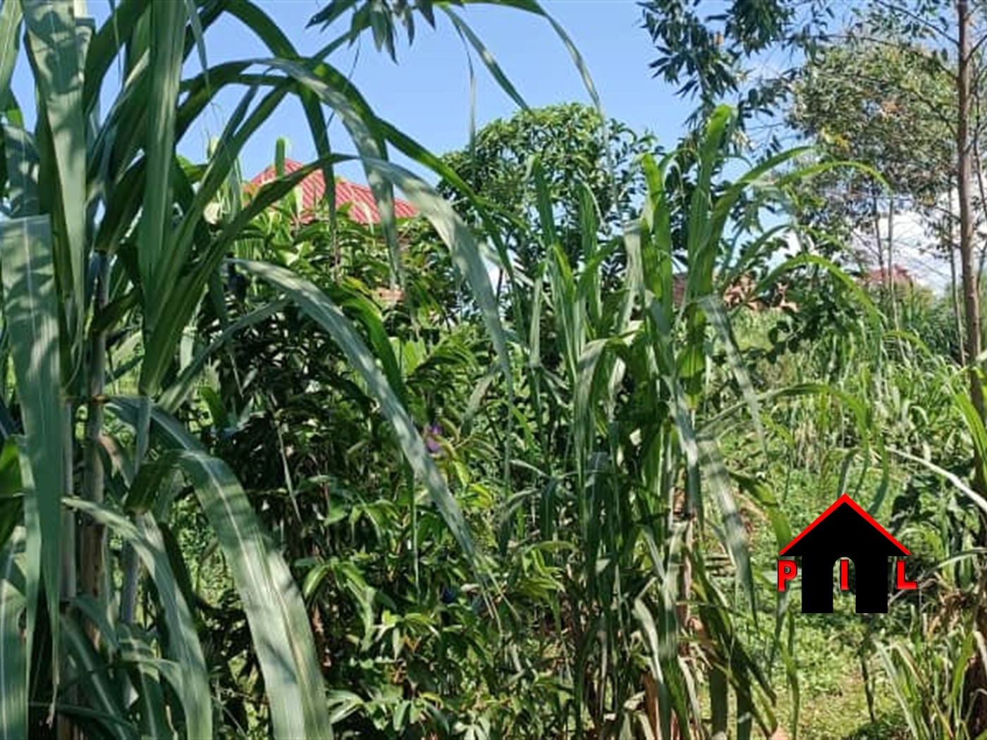 Residential Land for sale in Rukuuba Mbarara