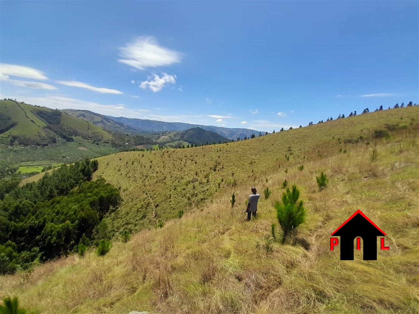 Agricultural Land for sale in Rwamparra Mbarara