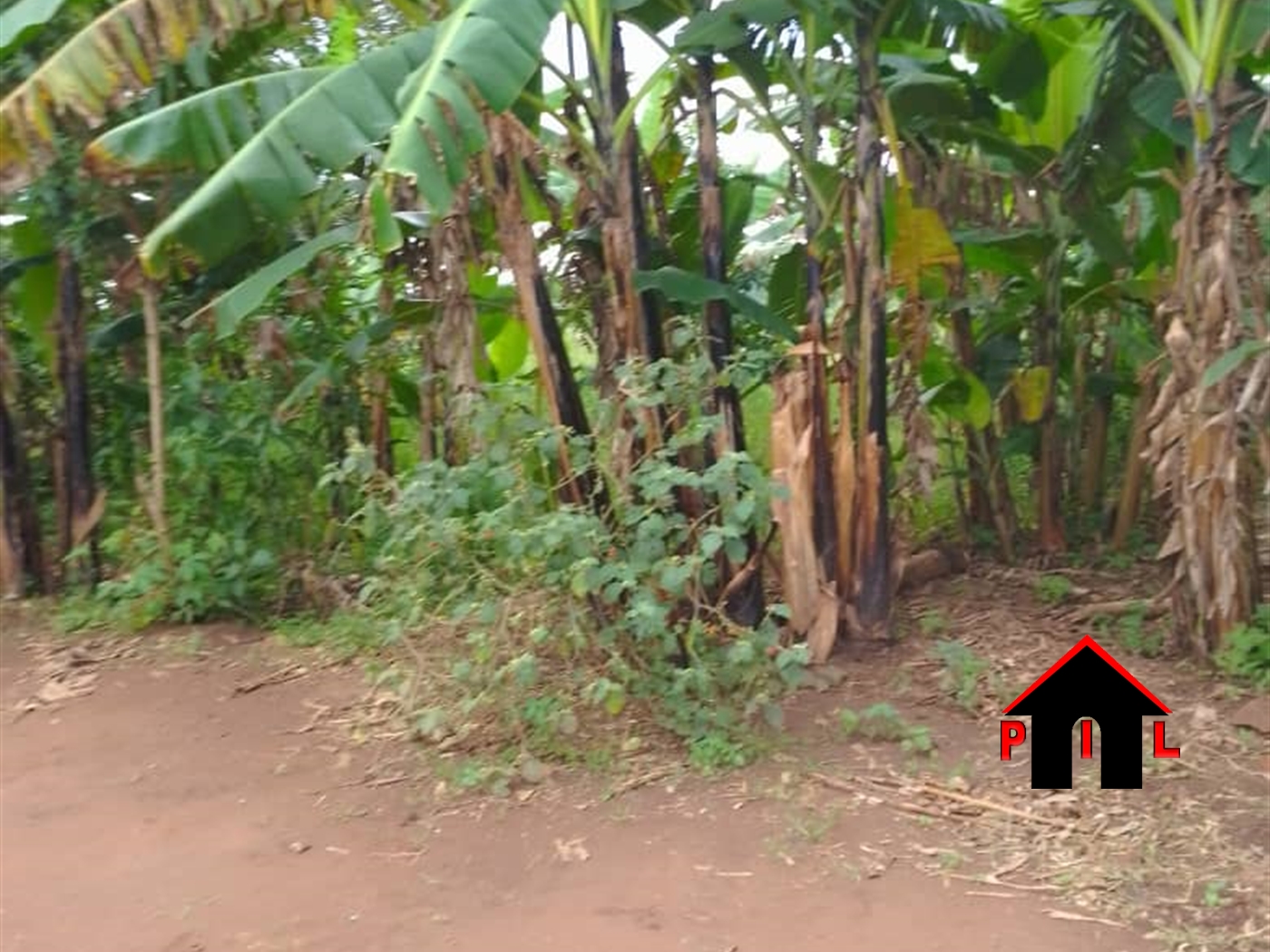 Commercial Land for sale in Busiika Luweero