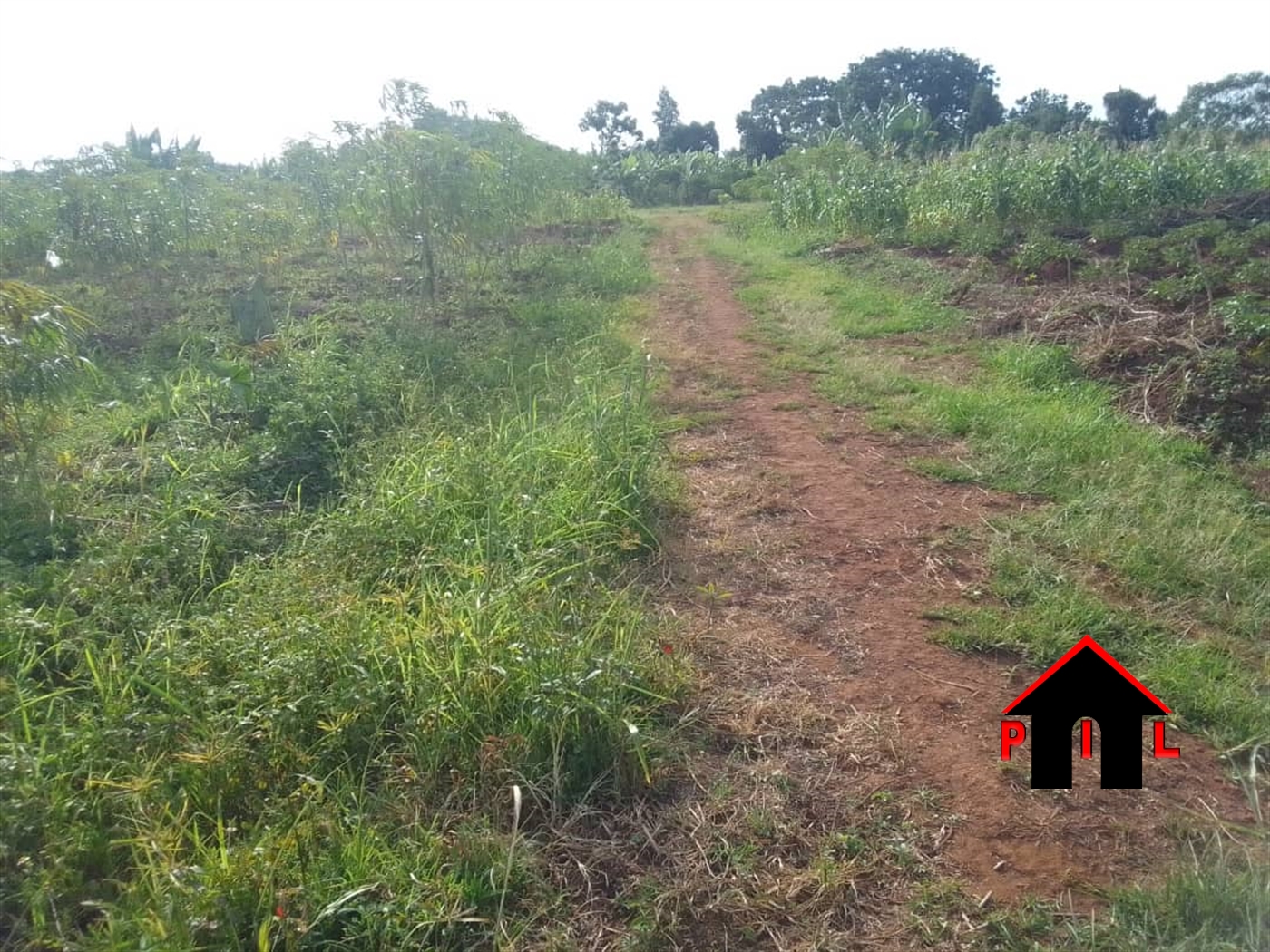 Residential Land for sale in Nkona Wakiso