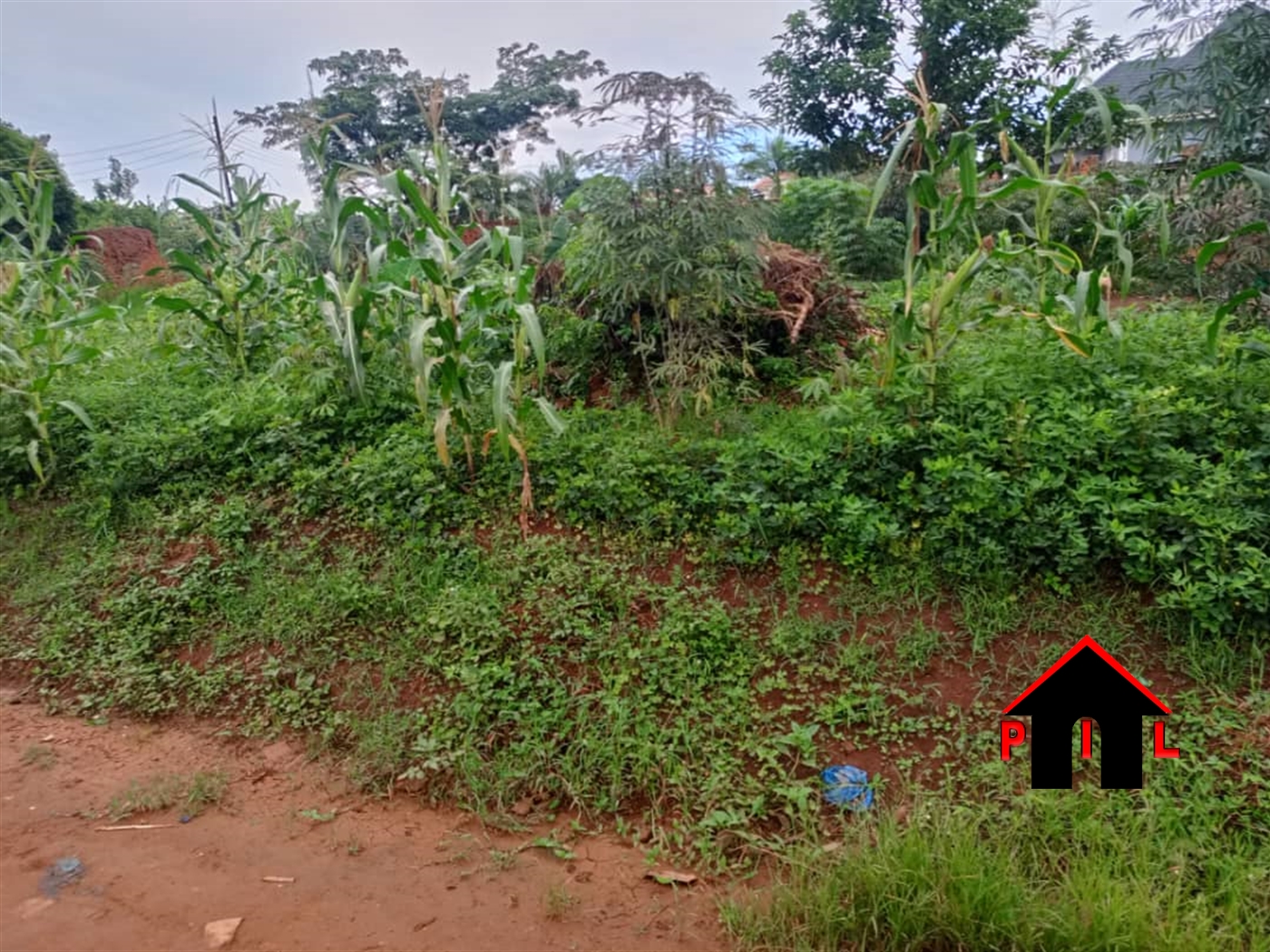 Residential Land for sale in Wakisocenterr Wakiso
