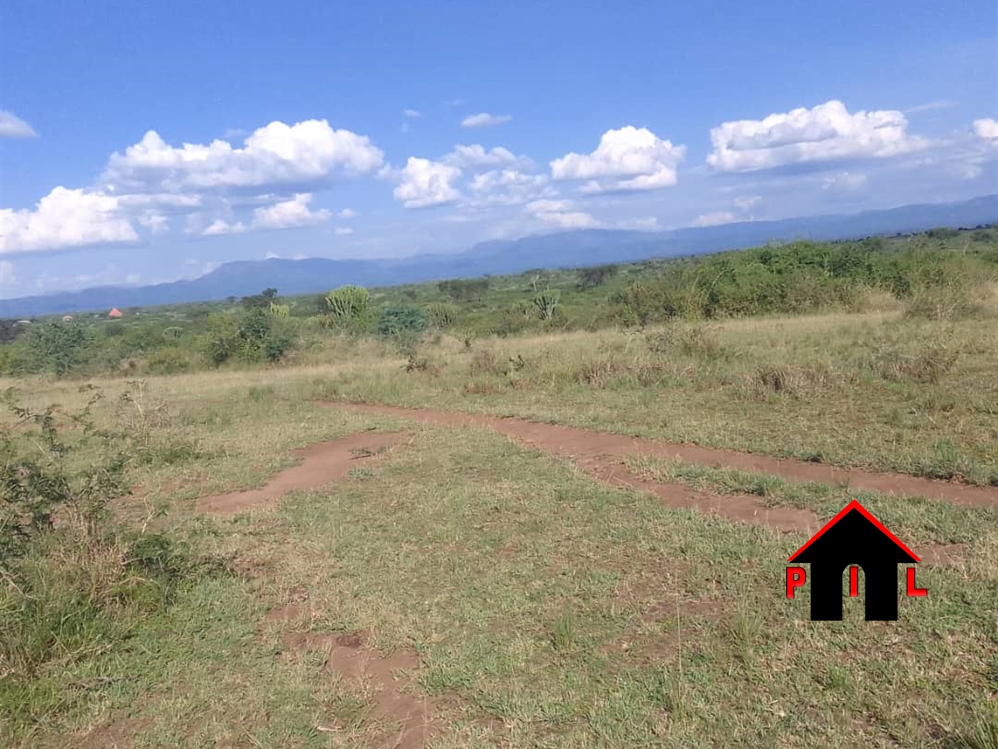 Agricultural Land for sale in Ndyomugyenyi Kaseese