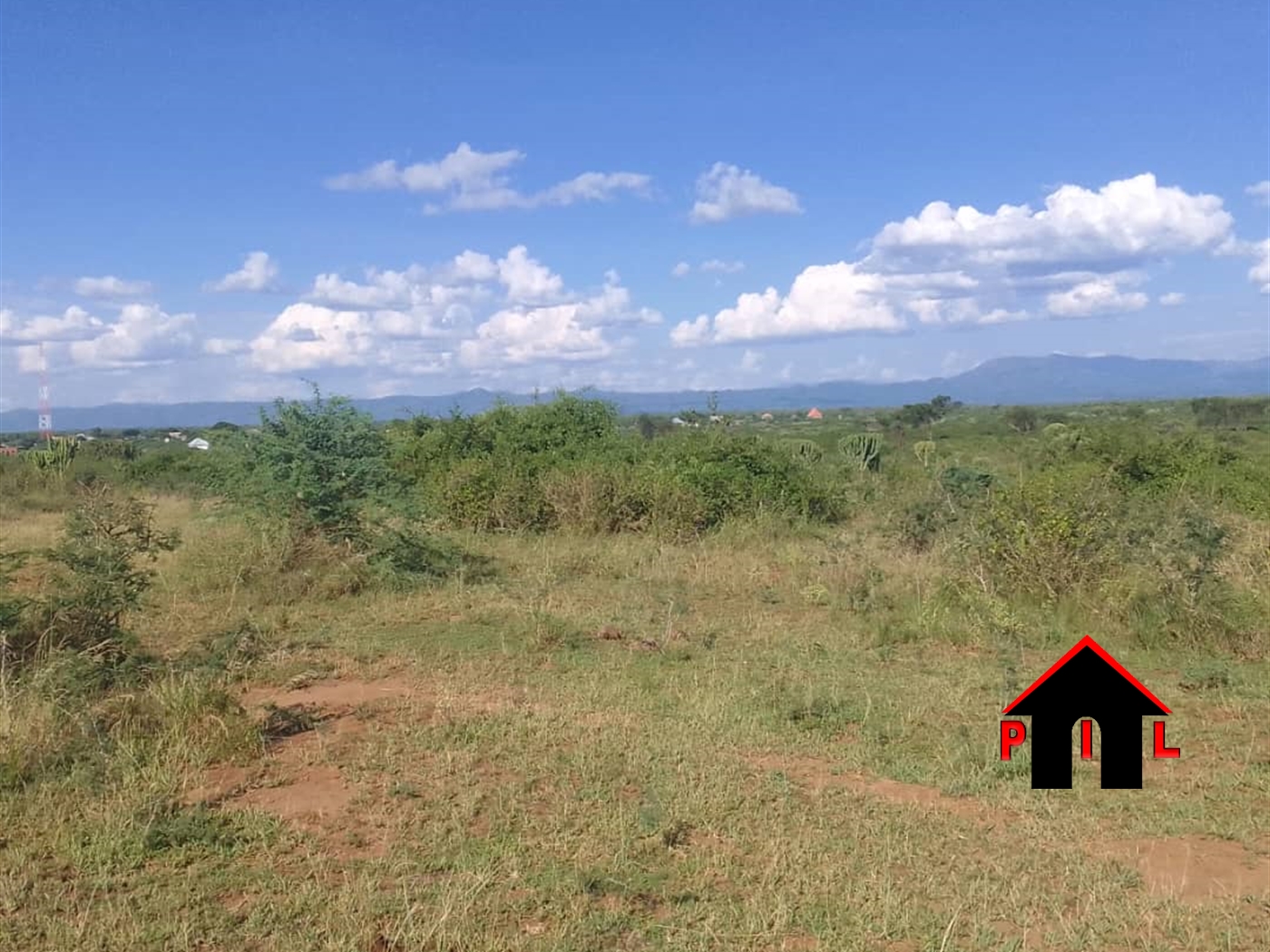 Agricultural Land for sale in Ndyomugyenyi Kaseese