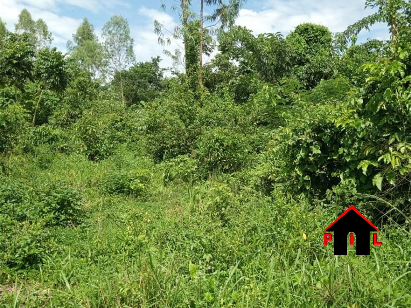 Commercial Land for sale in Namutamba Mityana