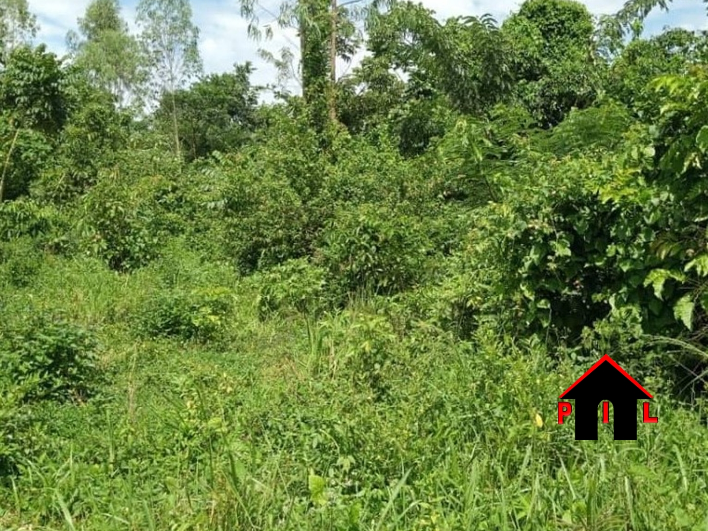 Commercial Land for sale in Namutamba Mityana