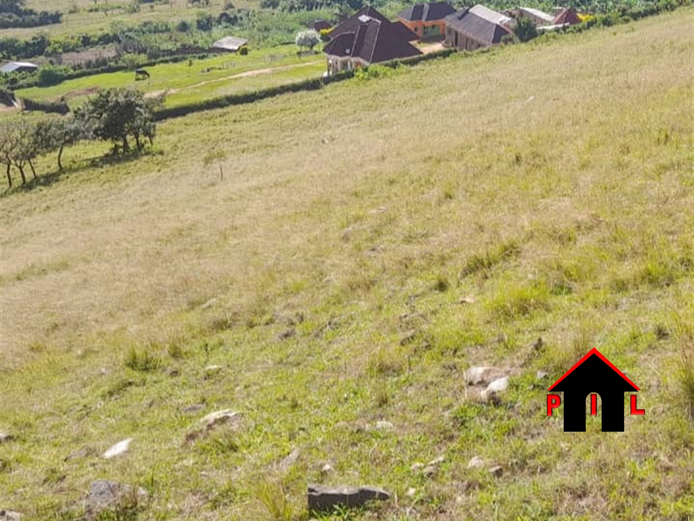 Agricultural Land for sale in Mpanga Ntungamo