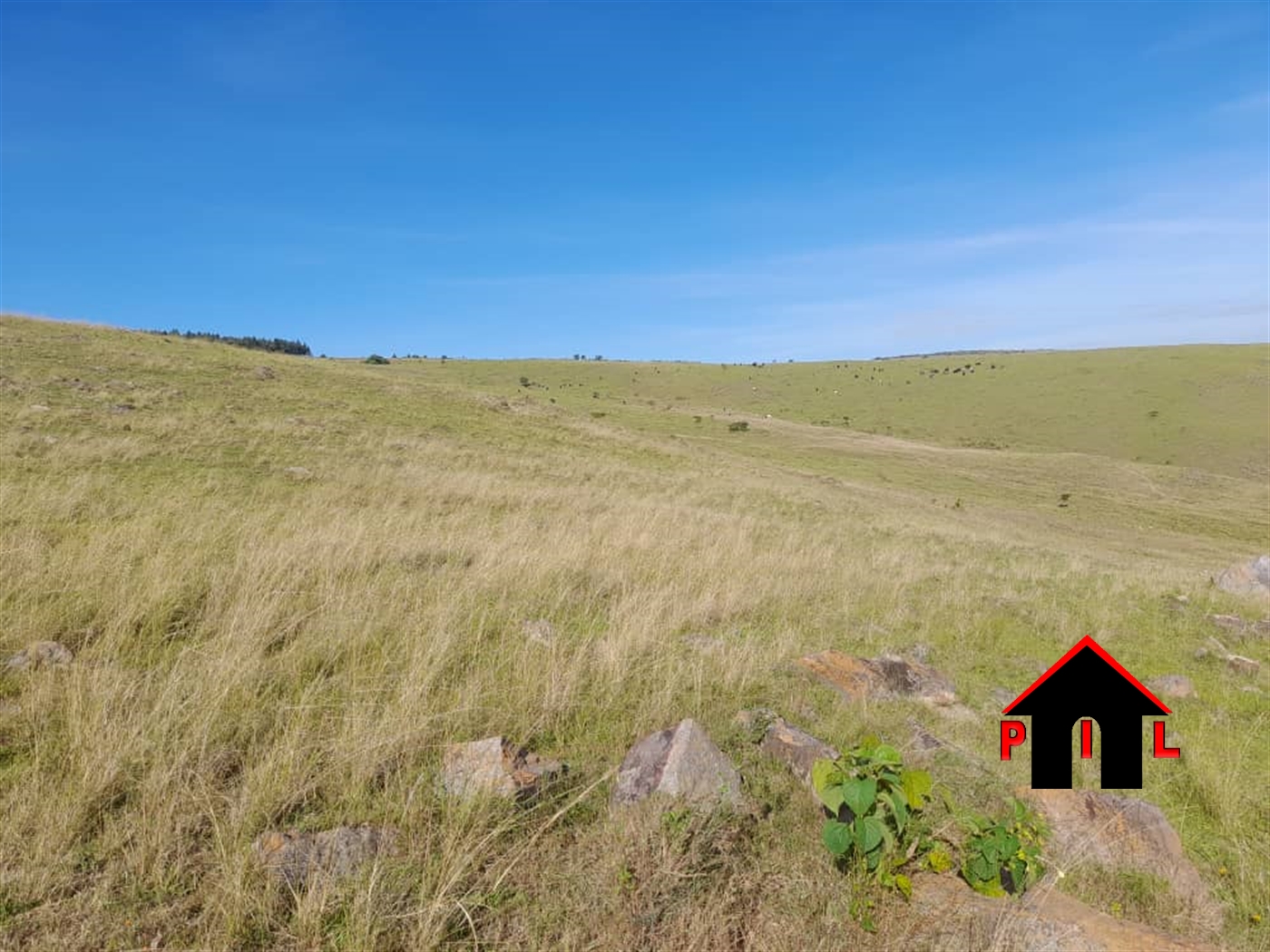 Agricultural Land for sale in Mpanga Ntungamo