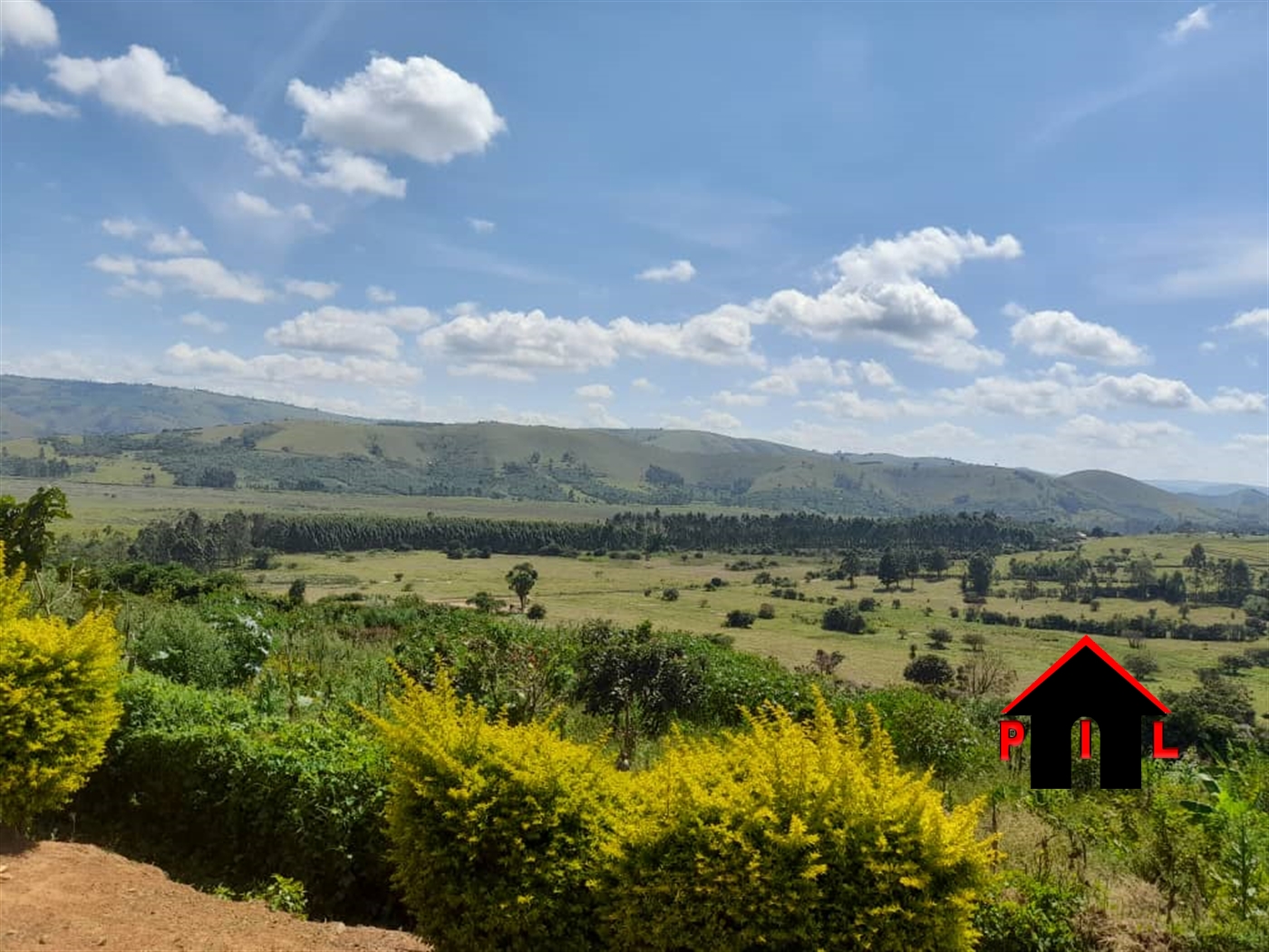 Agricultural Land for sale in Mpanga Ntungamo