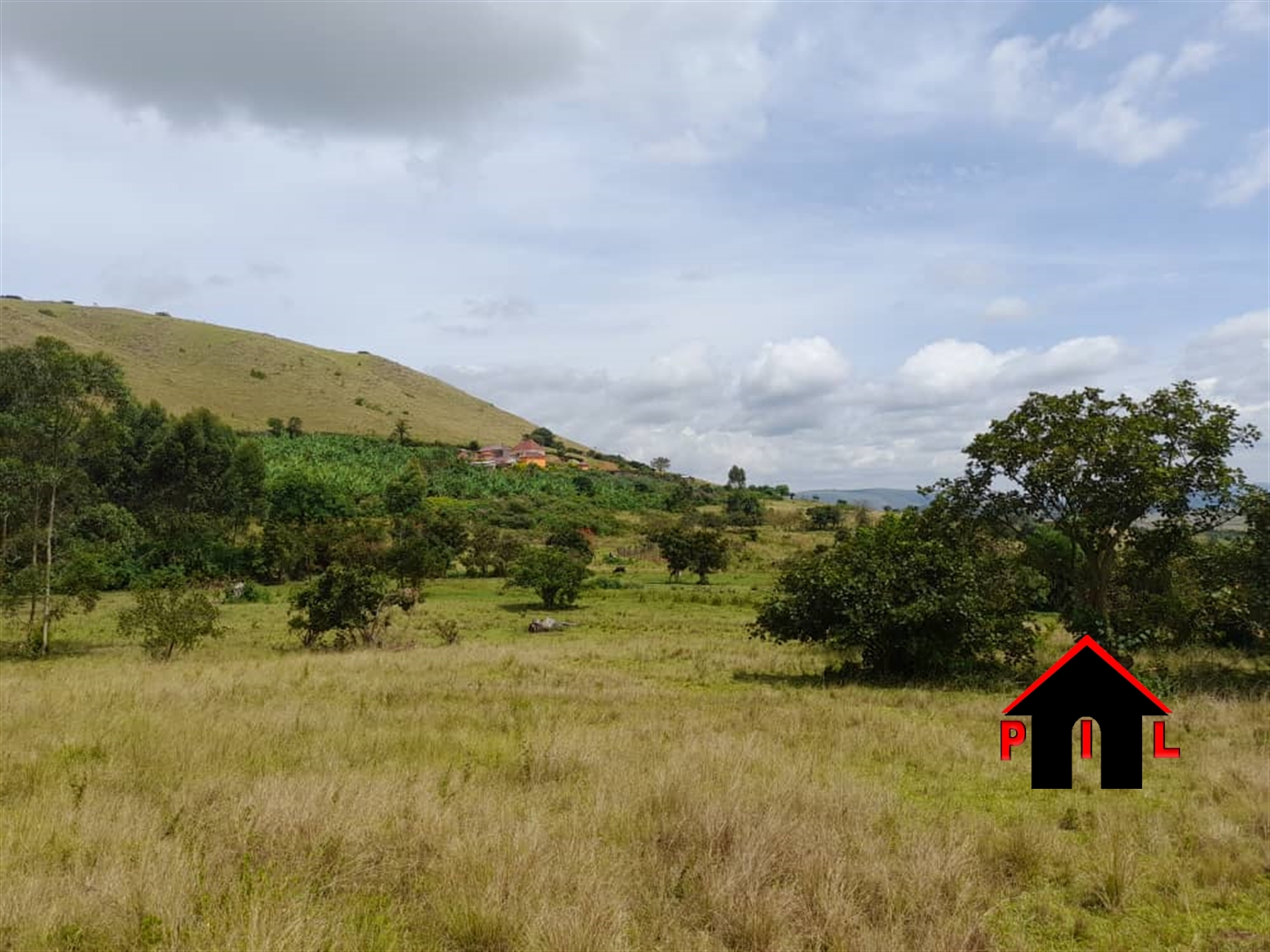 Agricultural Land for sale in Mpanga Ntungamo