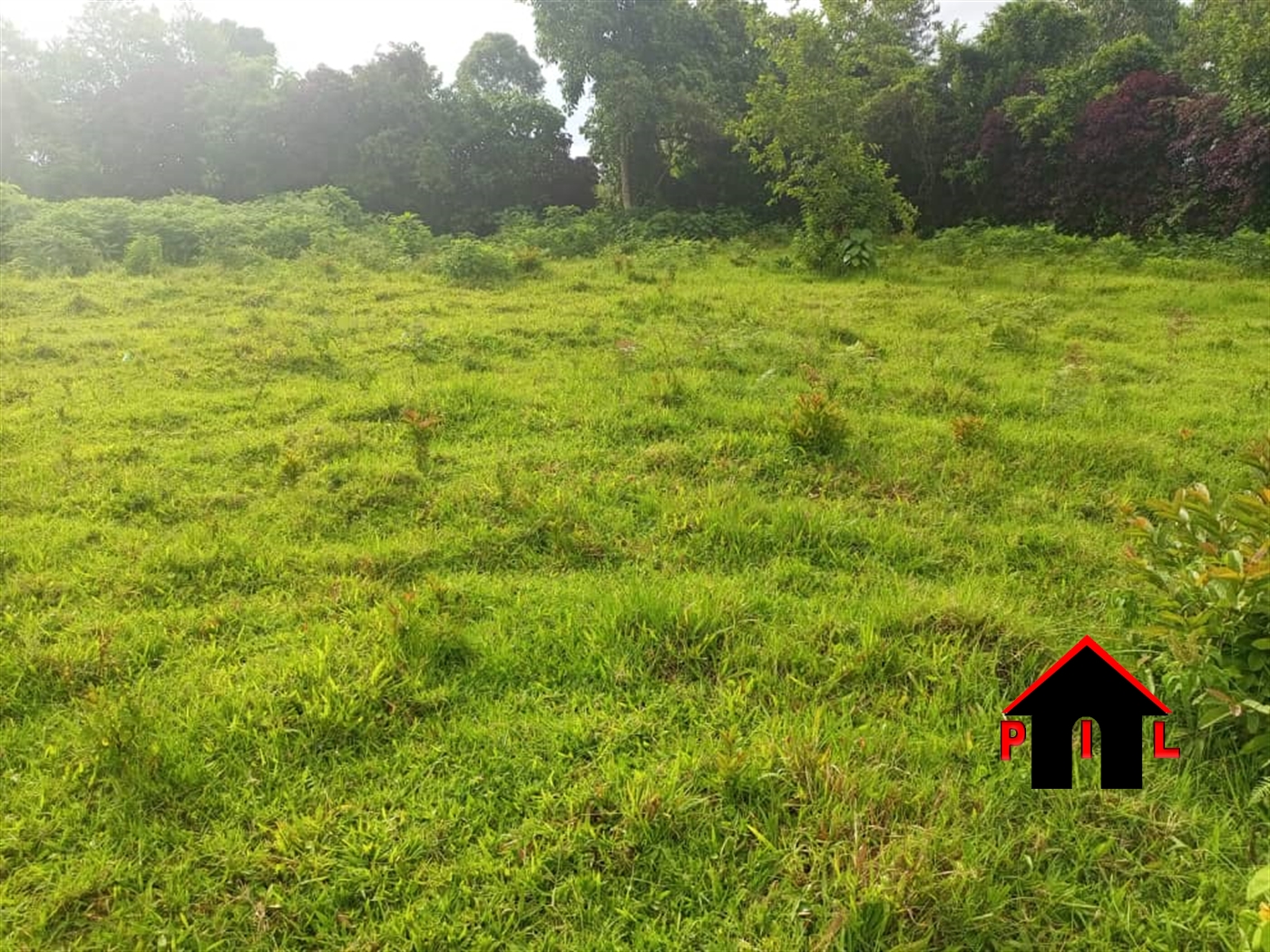 Agricultural Land for sale in Mwenge Kyenjojo