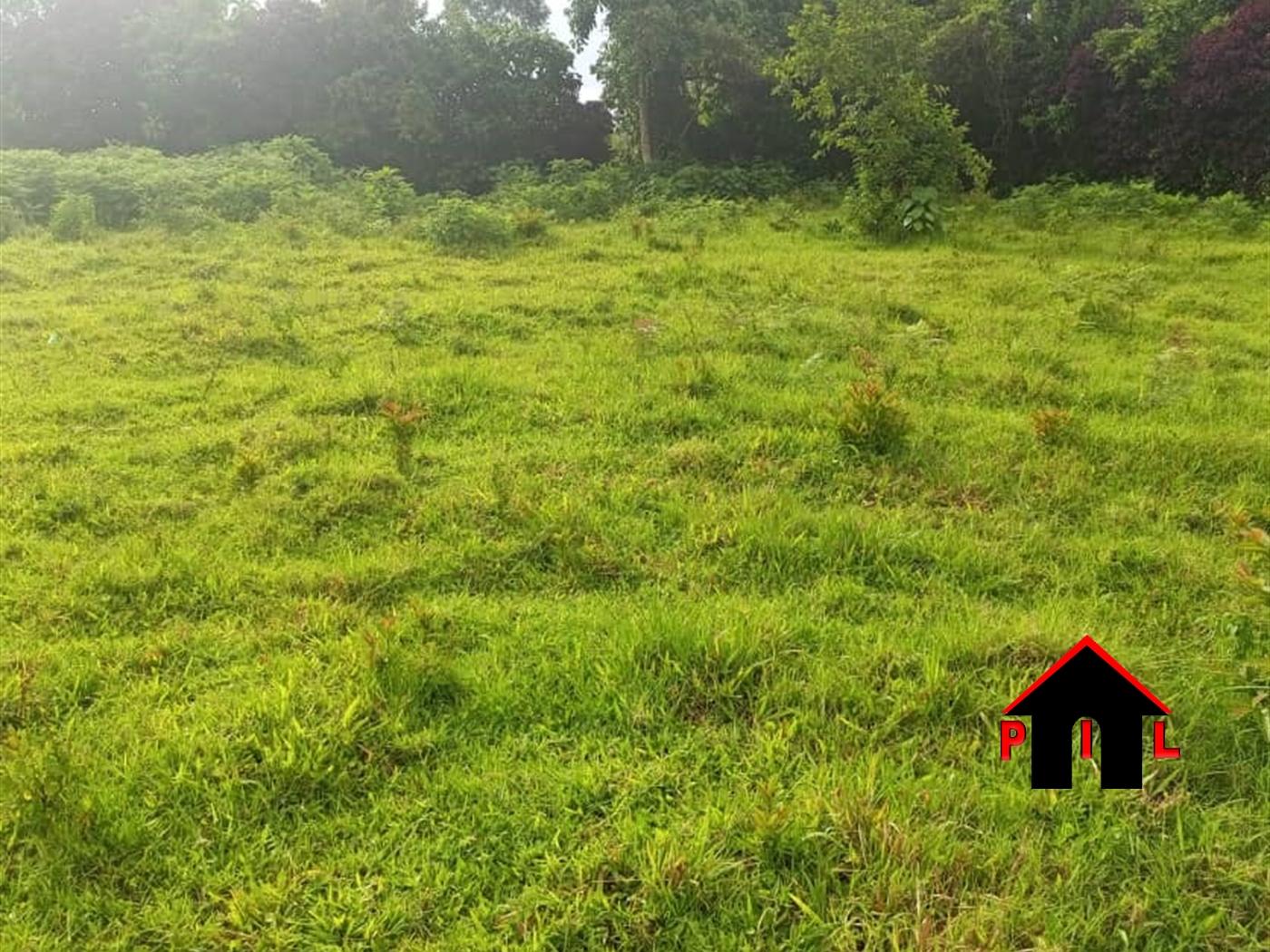 Agricultural Land for sale in Mwenge Kyenjojo