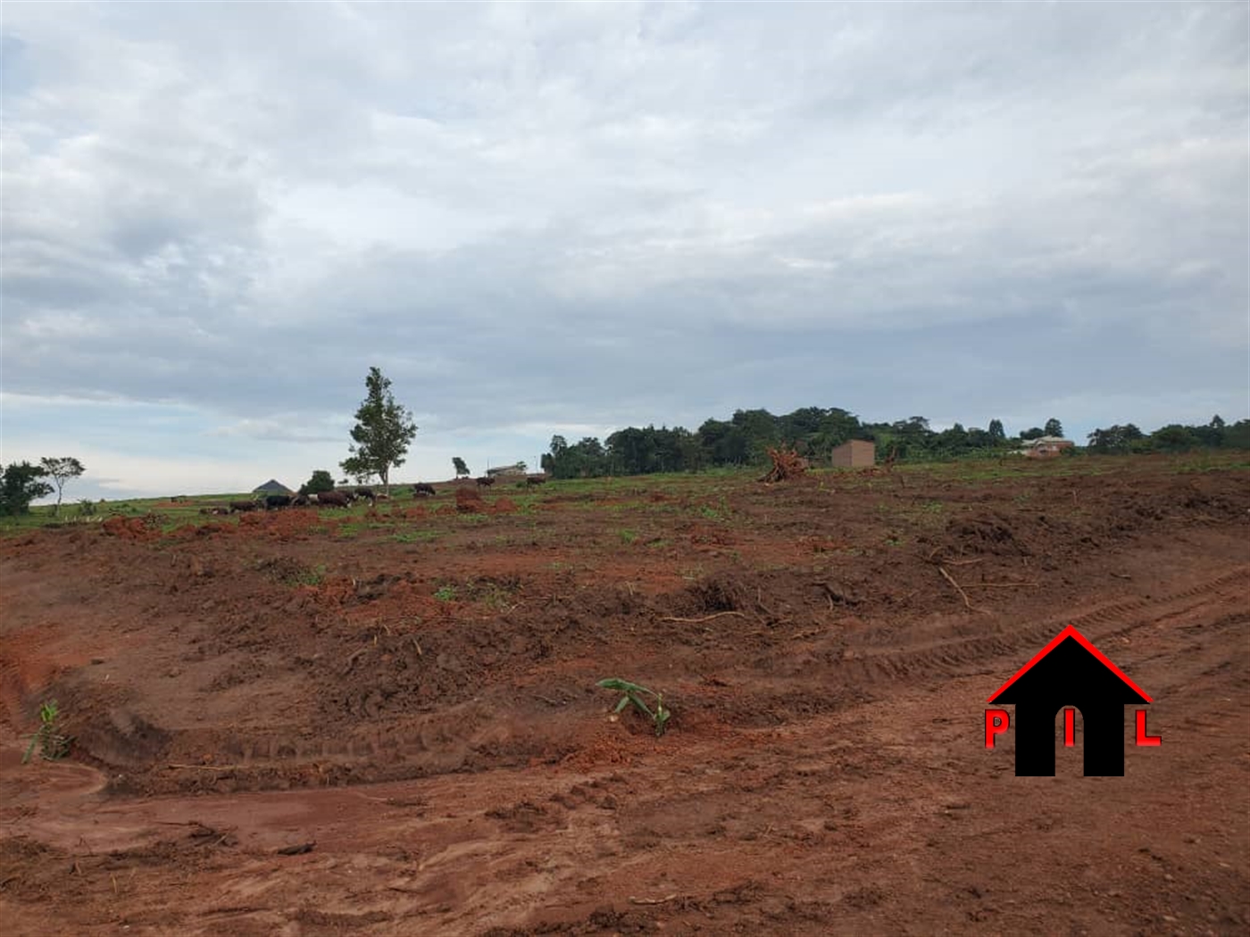 Residential Land for sale in Tongolo Wakiso