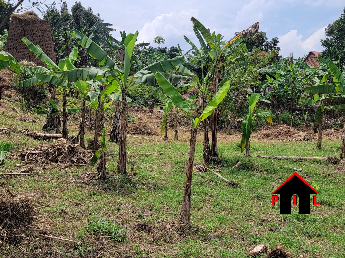 Residential Land for sale in Nsasa Wakiso